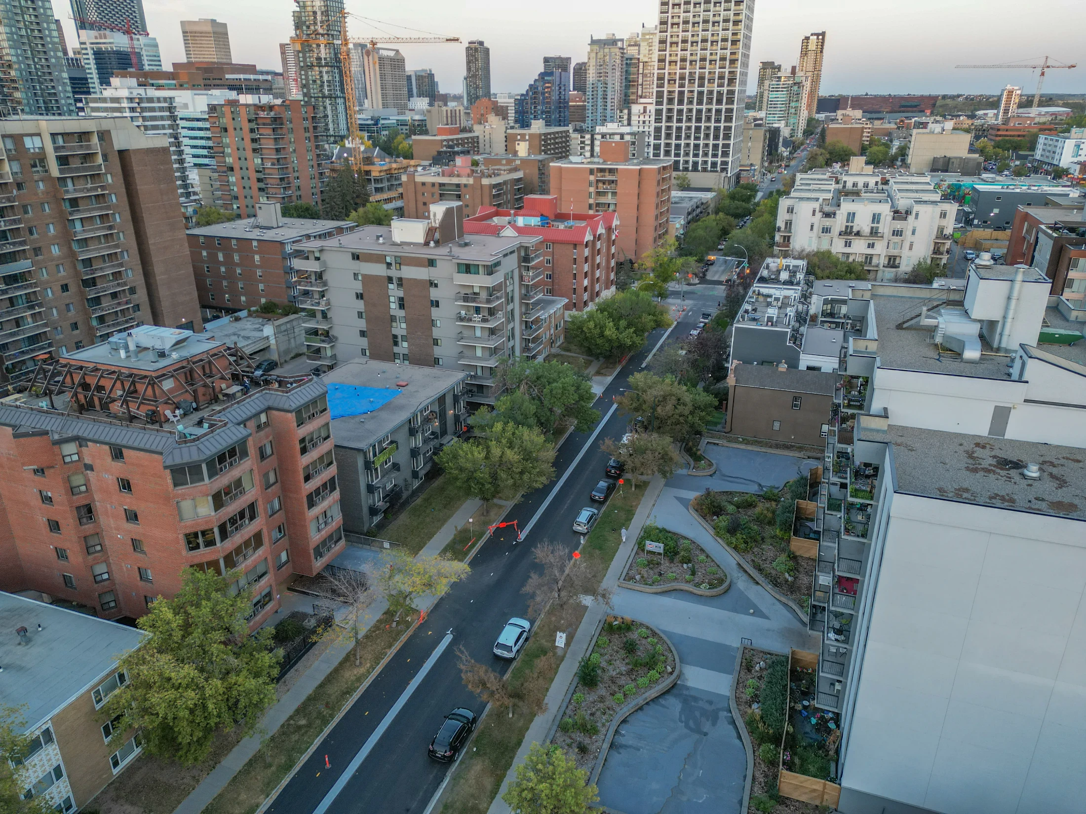 Aerial of brick apartment buildings and tree-lined streets