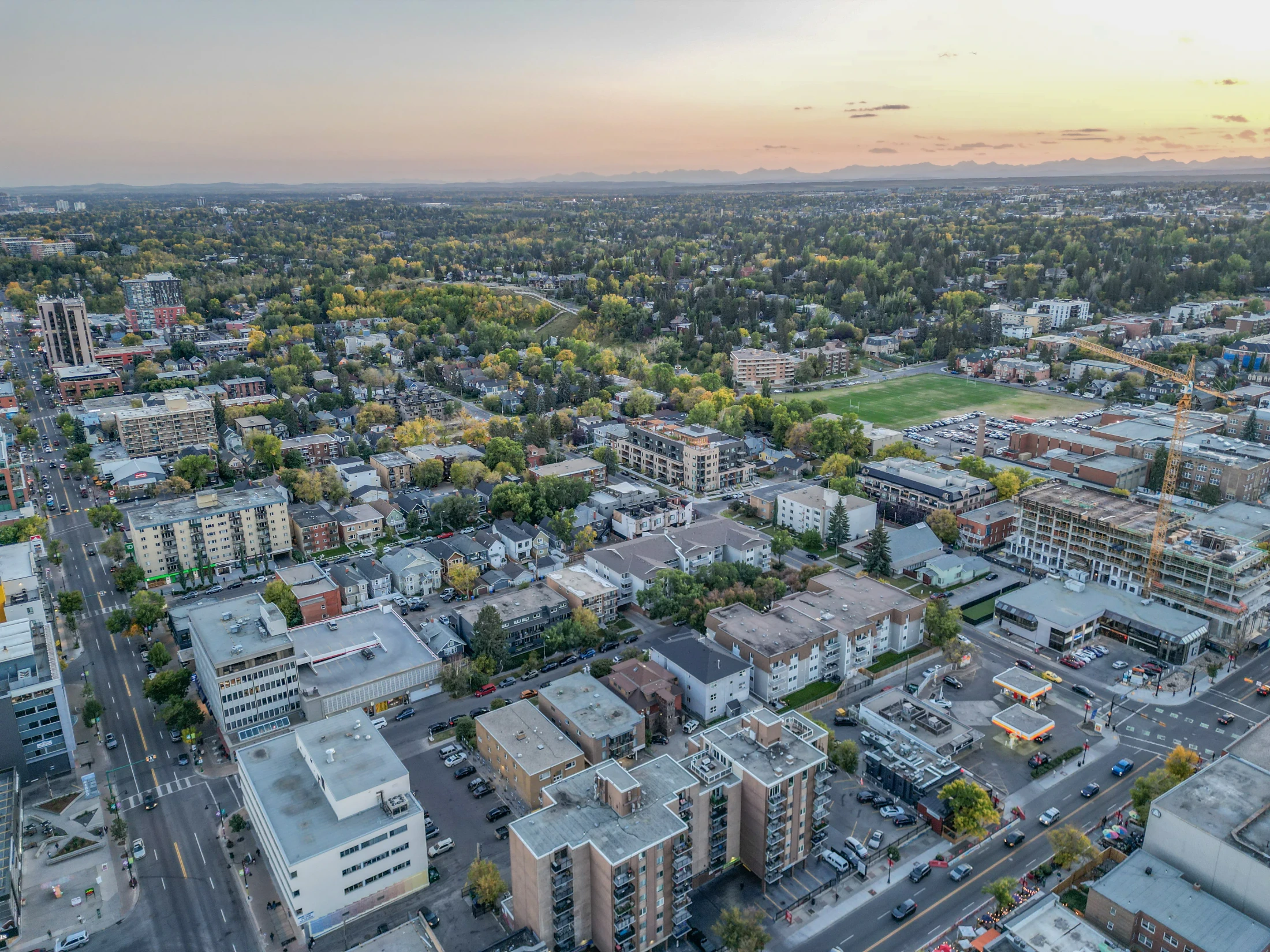 Aerial of tree-lined inner-city streets with apartments and houses