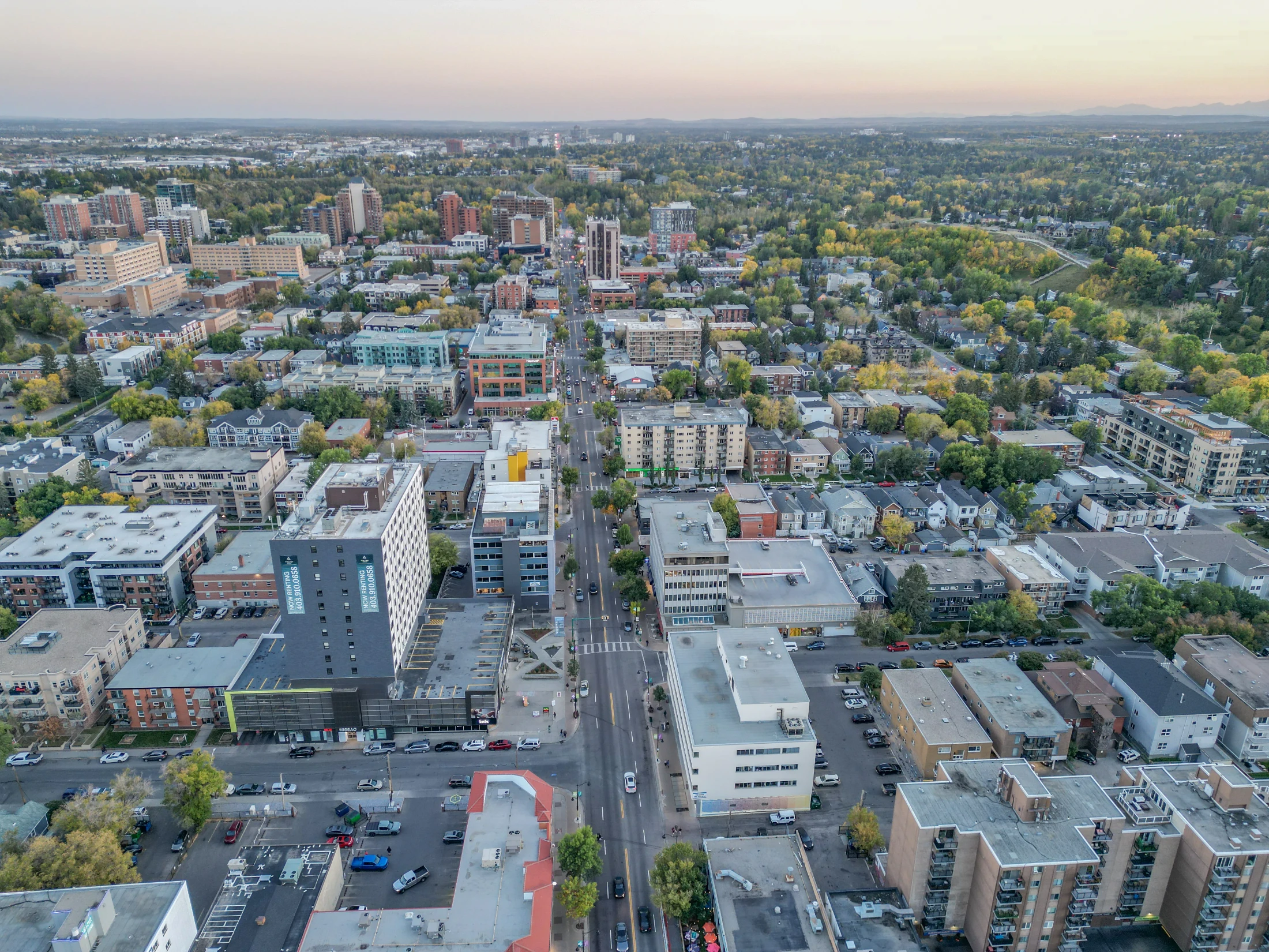 Aerial of a tree-lined inner-city neighbourhood with low-rise buildings
