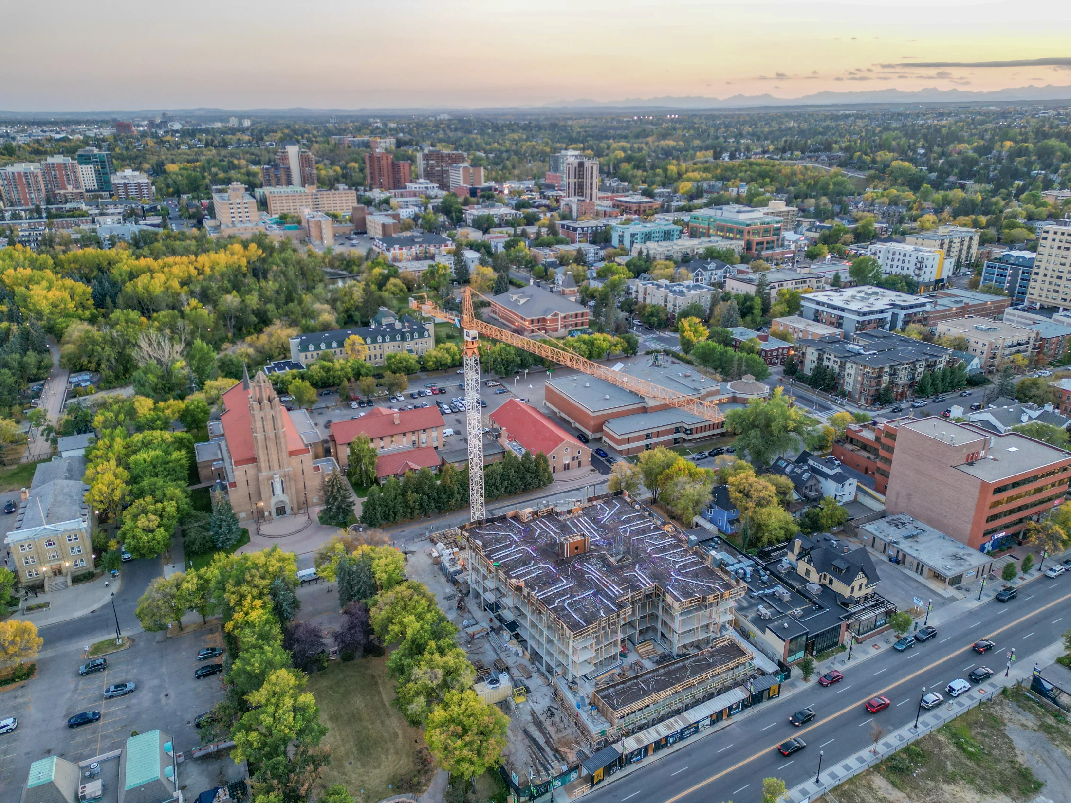 Aerial of older homes and mature trees with a high-rise in the distance