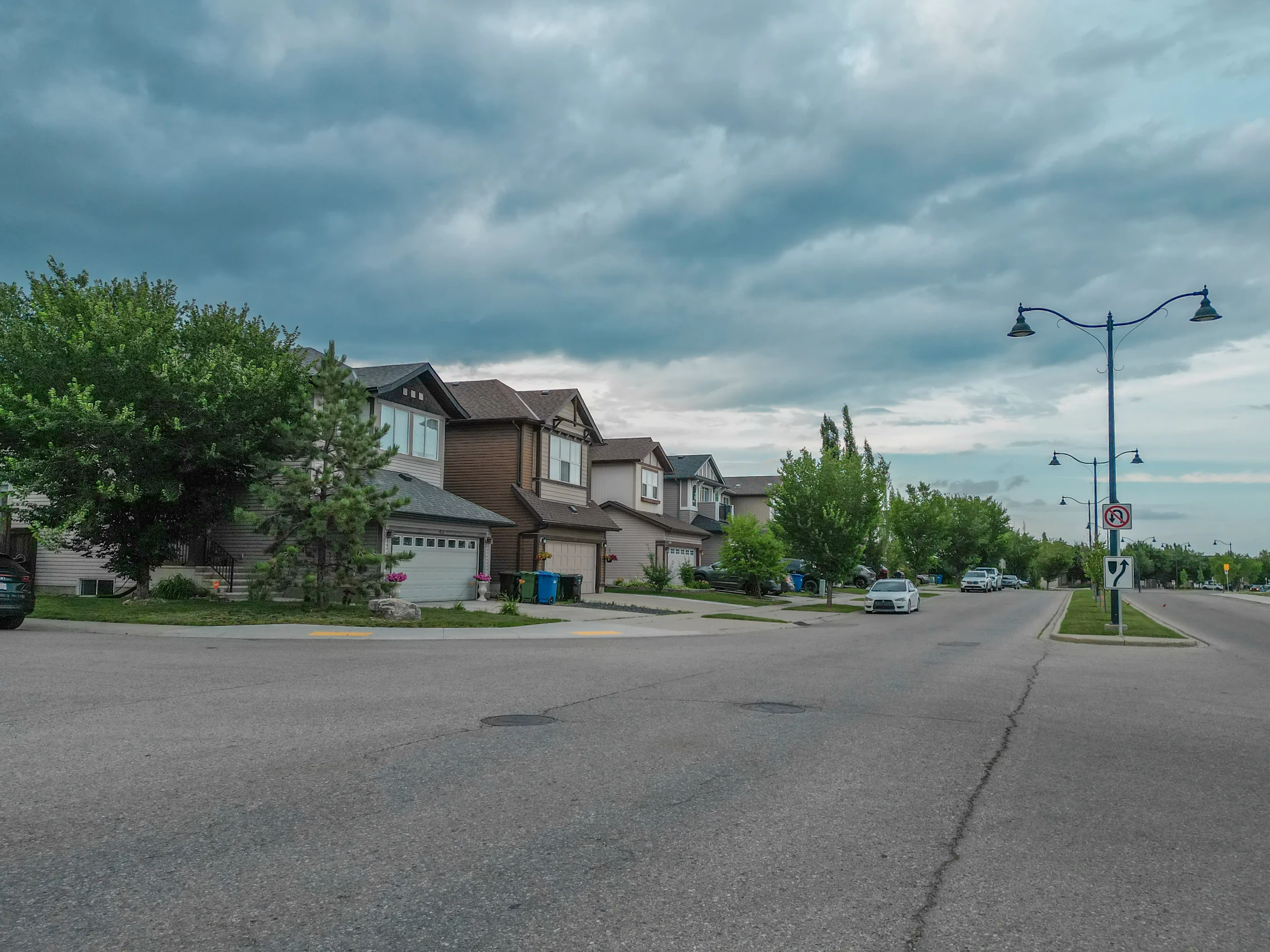 A wide residential street with mature trees in northwest Calgary