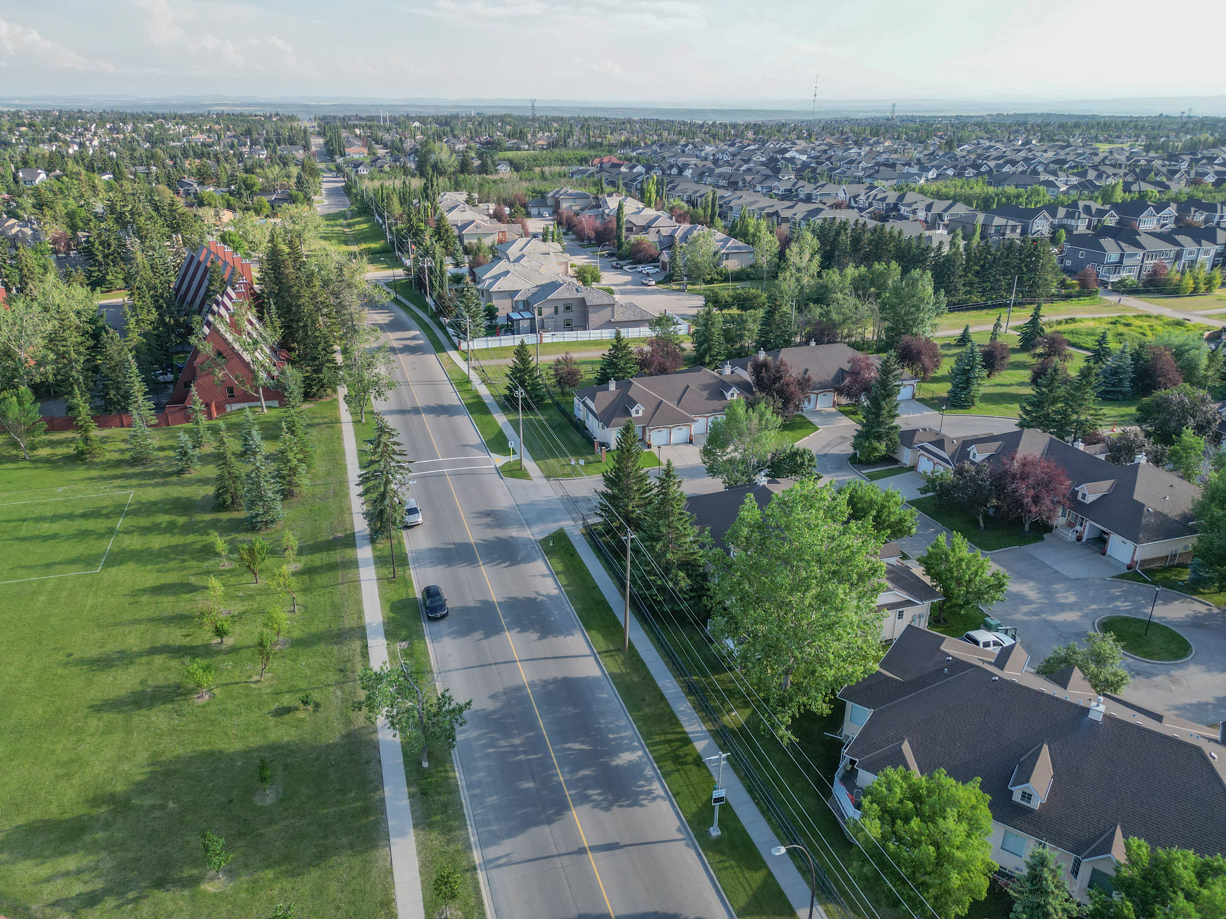 Paved pathway through a grassy park with mature trees