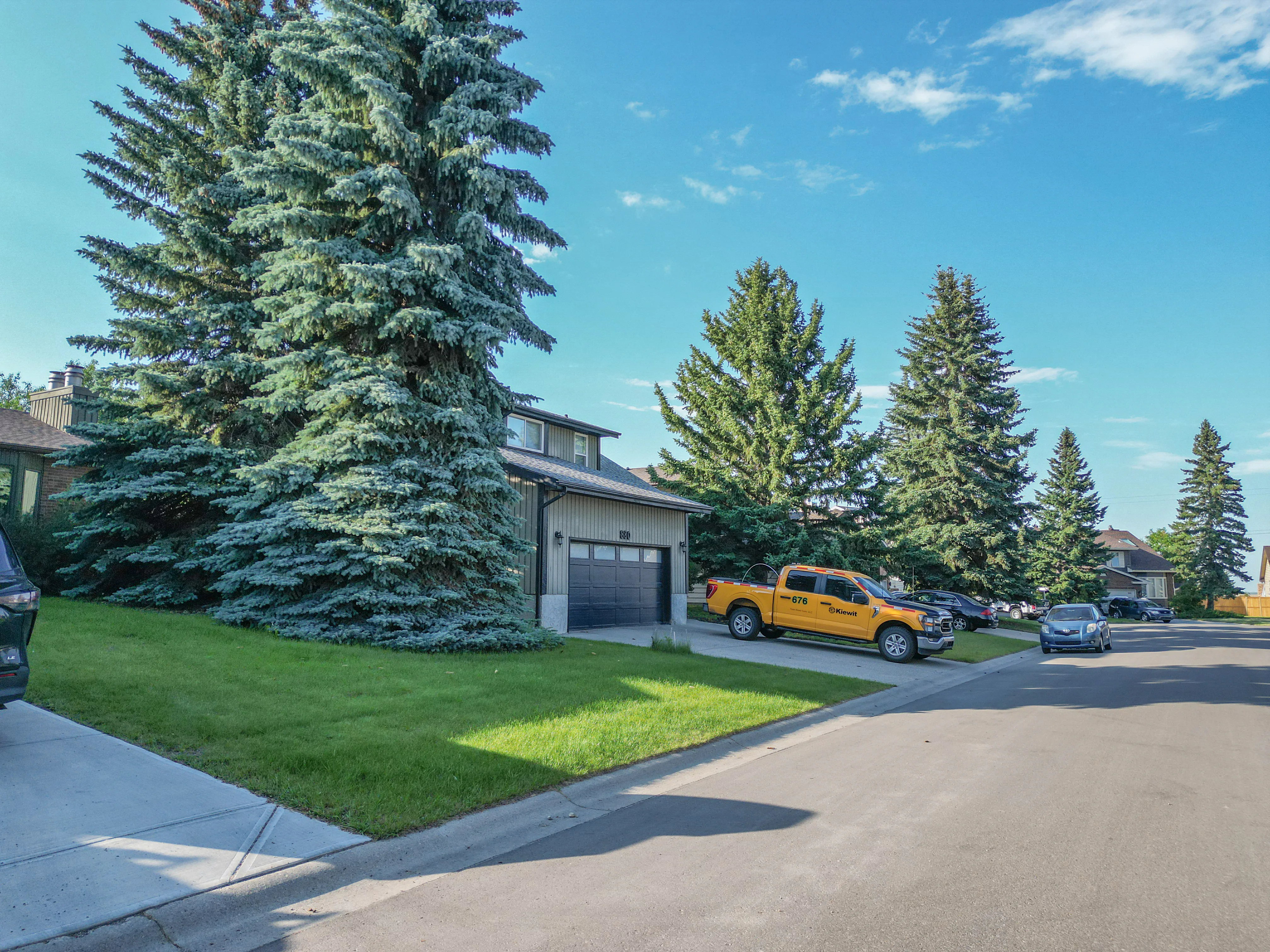 Older home on a big lot with tall spruce trees and a wide lawn