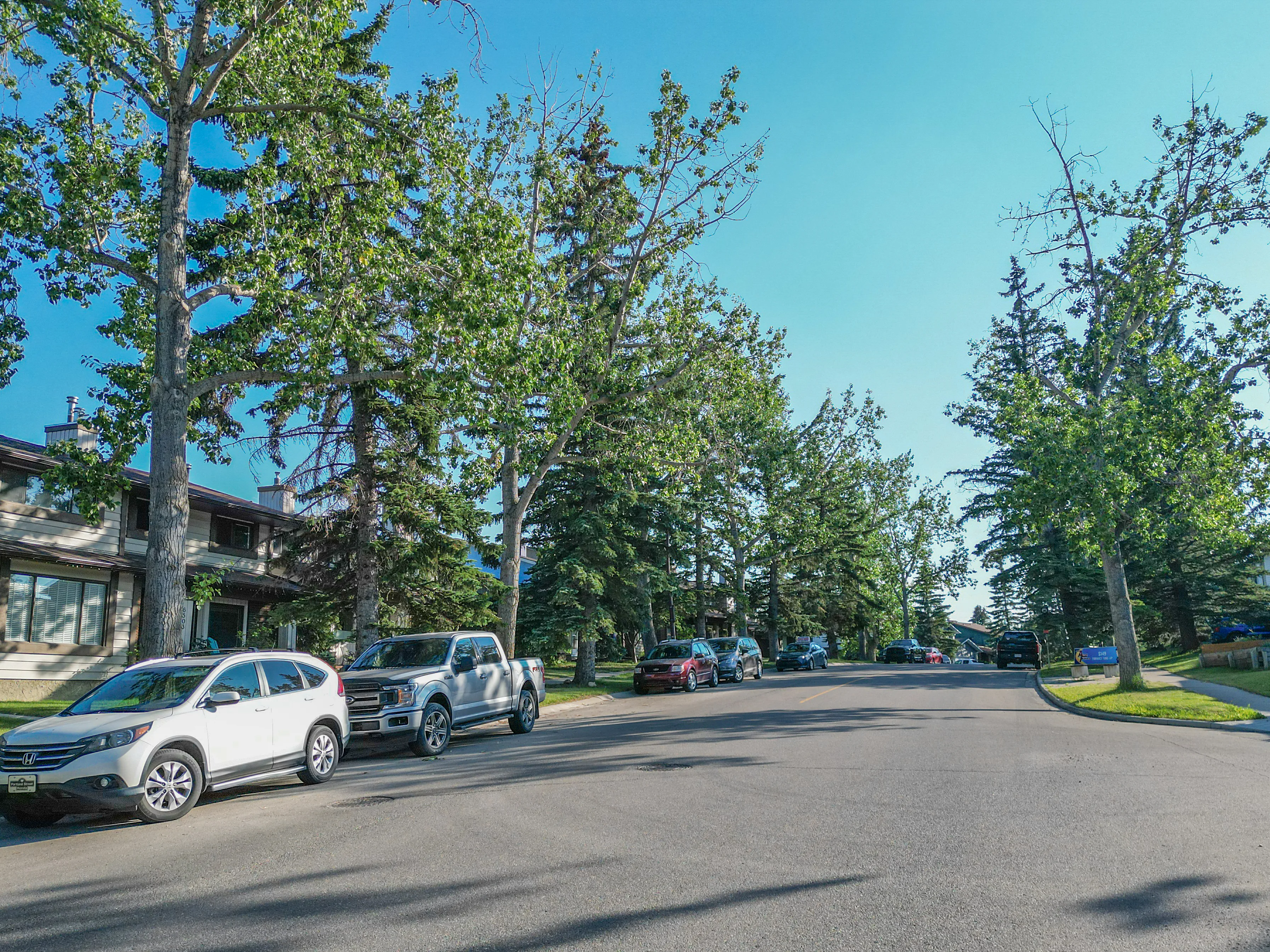Tree-lined residential street with mature trees and parked cars