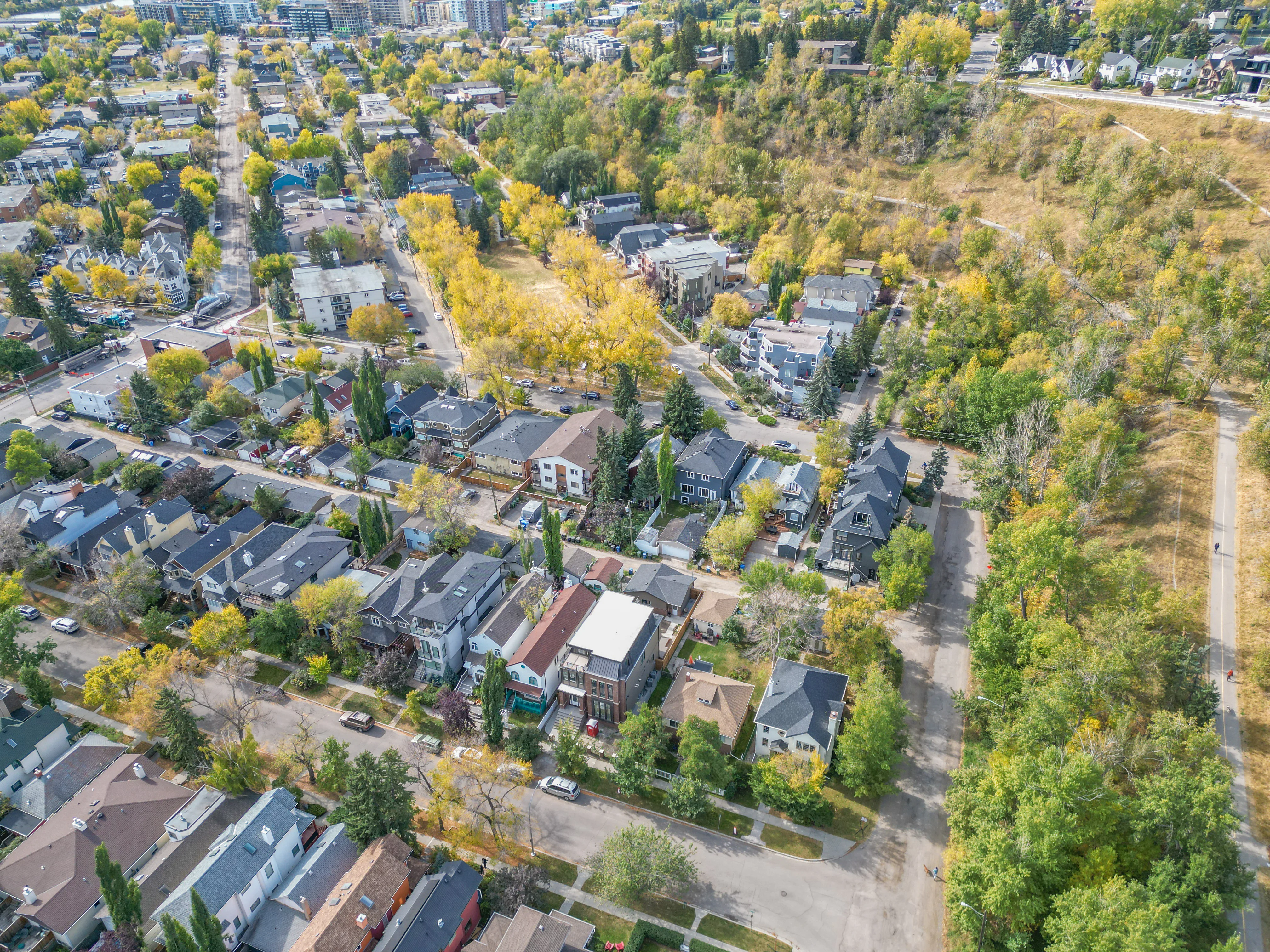 Aerial of an established neighbourhood with mature trees and new infills