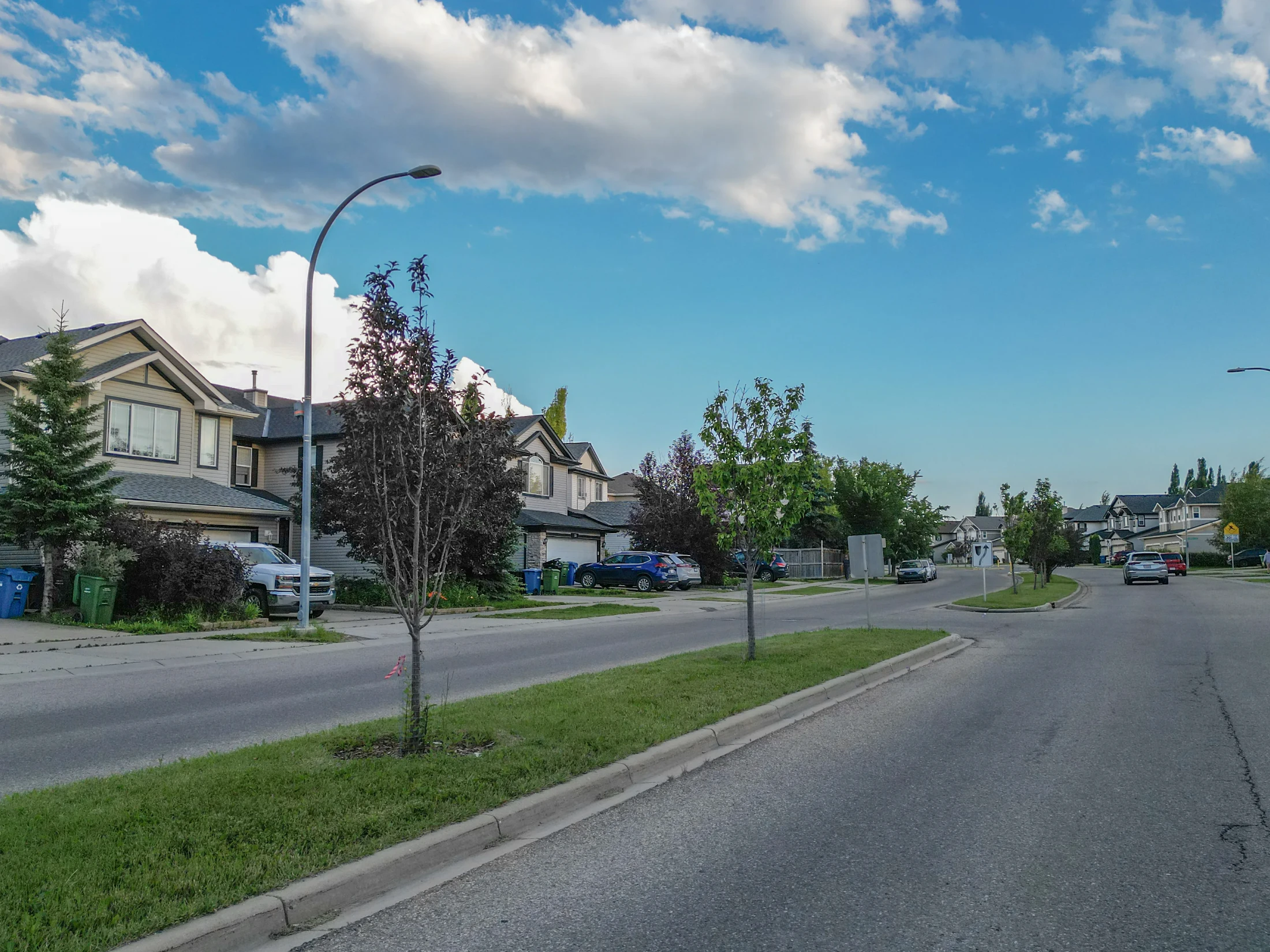Residential street with two-storey homes and a lamp post