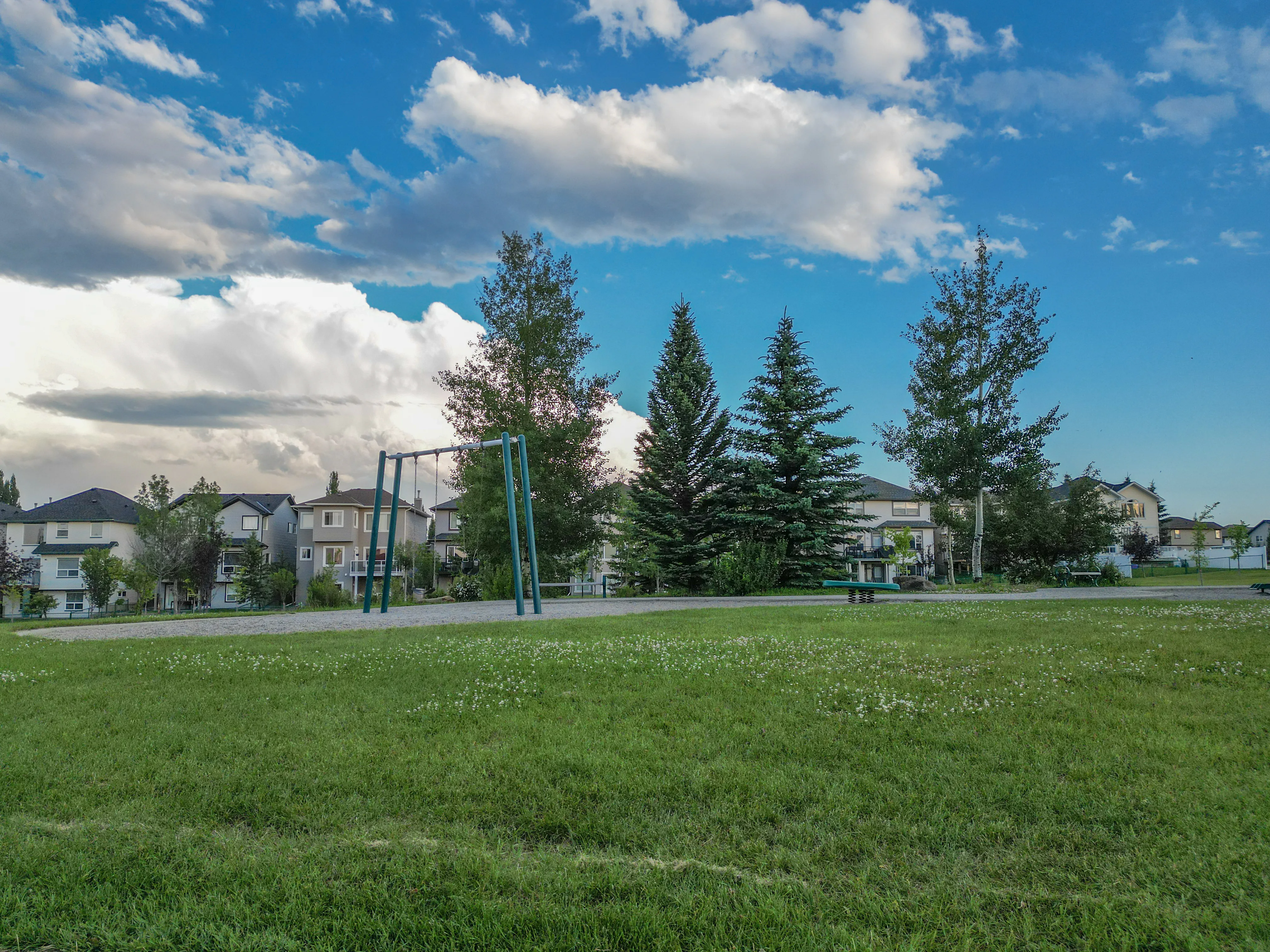 Playground and green space with spruce trees and homes behind