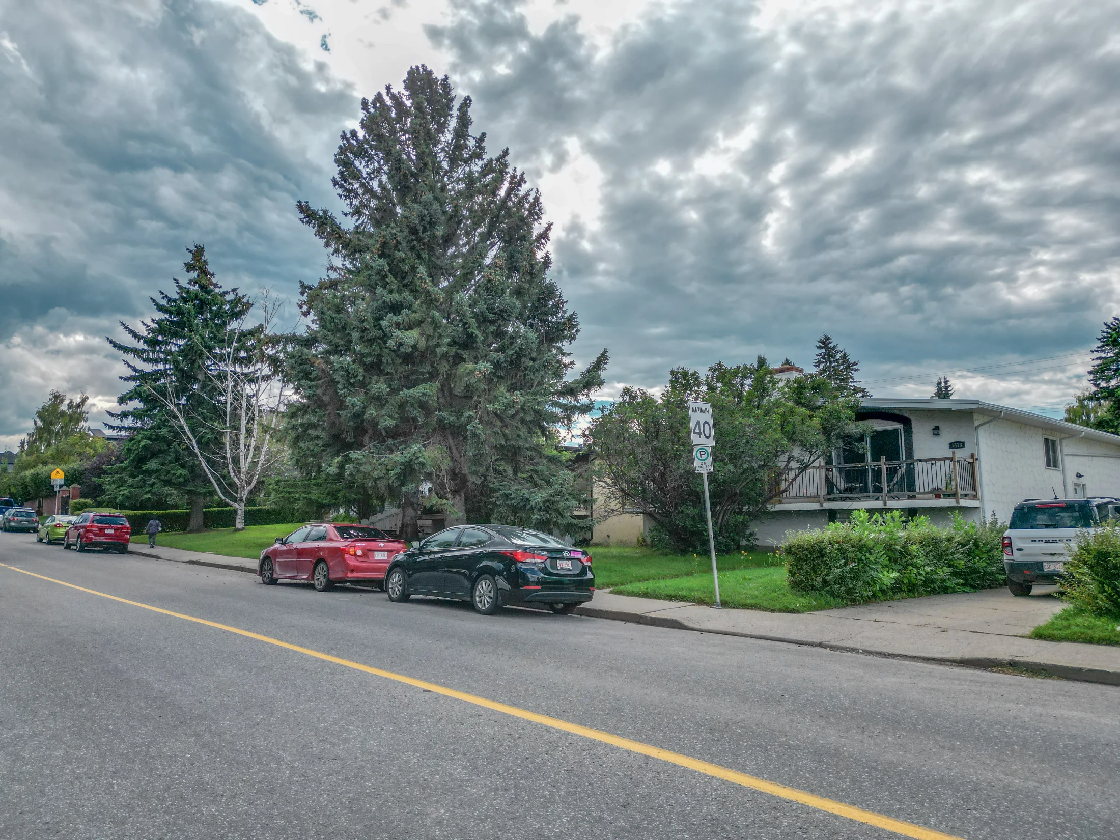 Quiet inner-city street lined with large mature trees