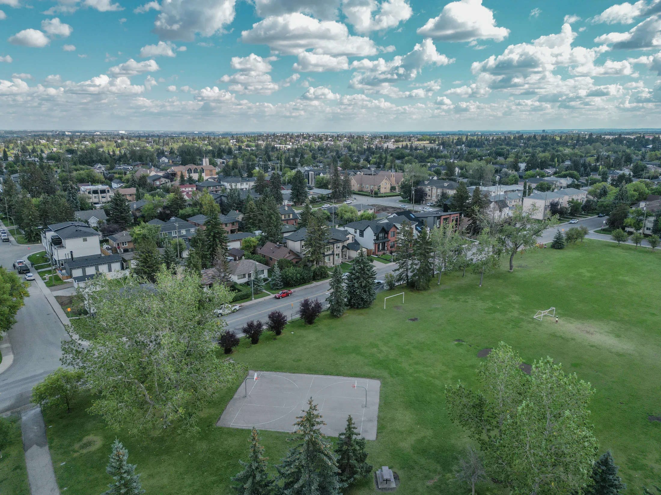 Open green park space surrounded by mature trees and homes