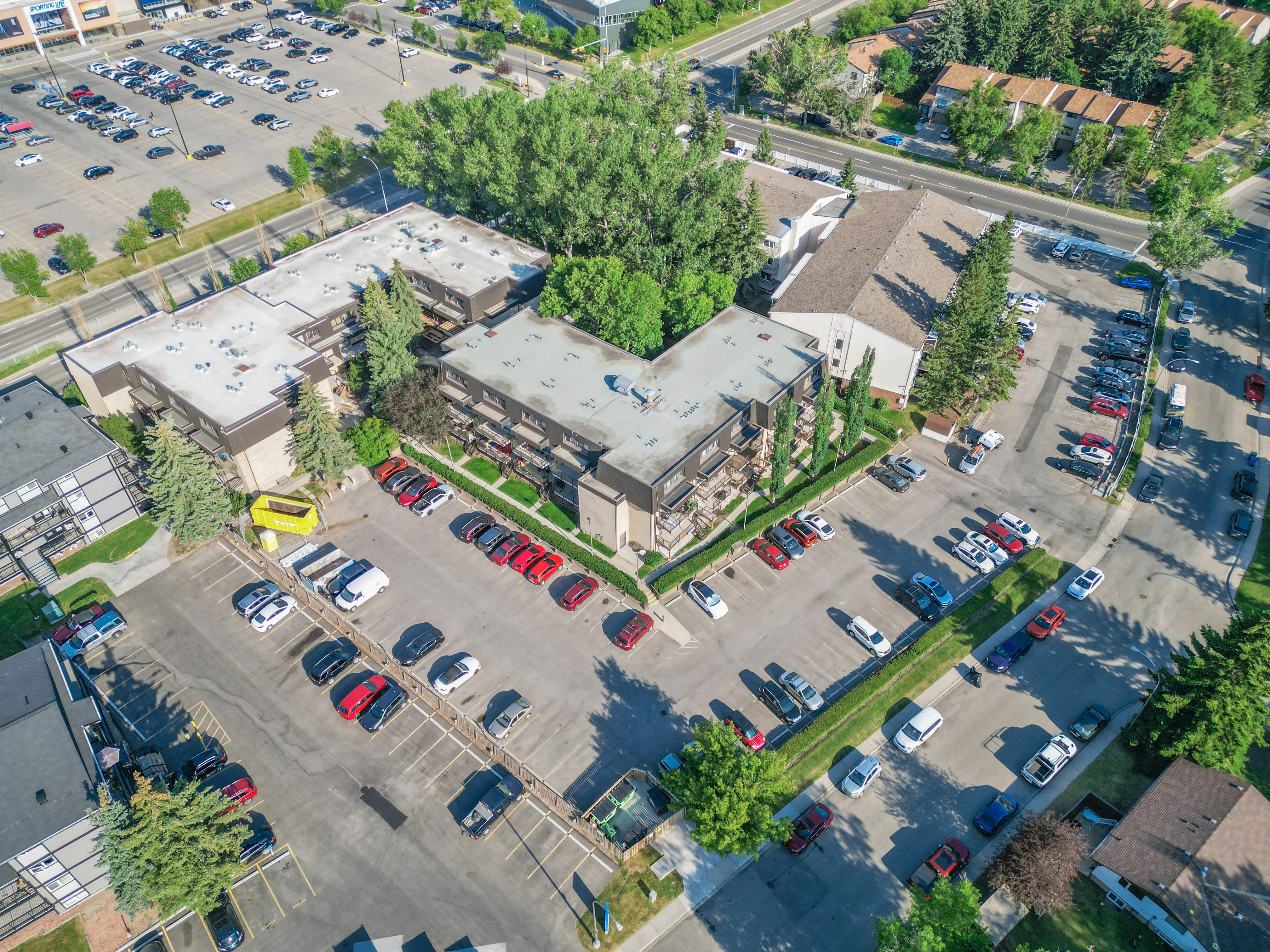 Aerial view of an older northwest Calgary neighbourhood with mature trees and low-rise buildings