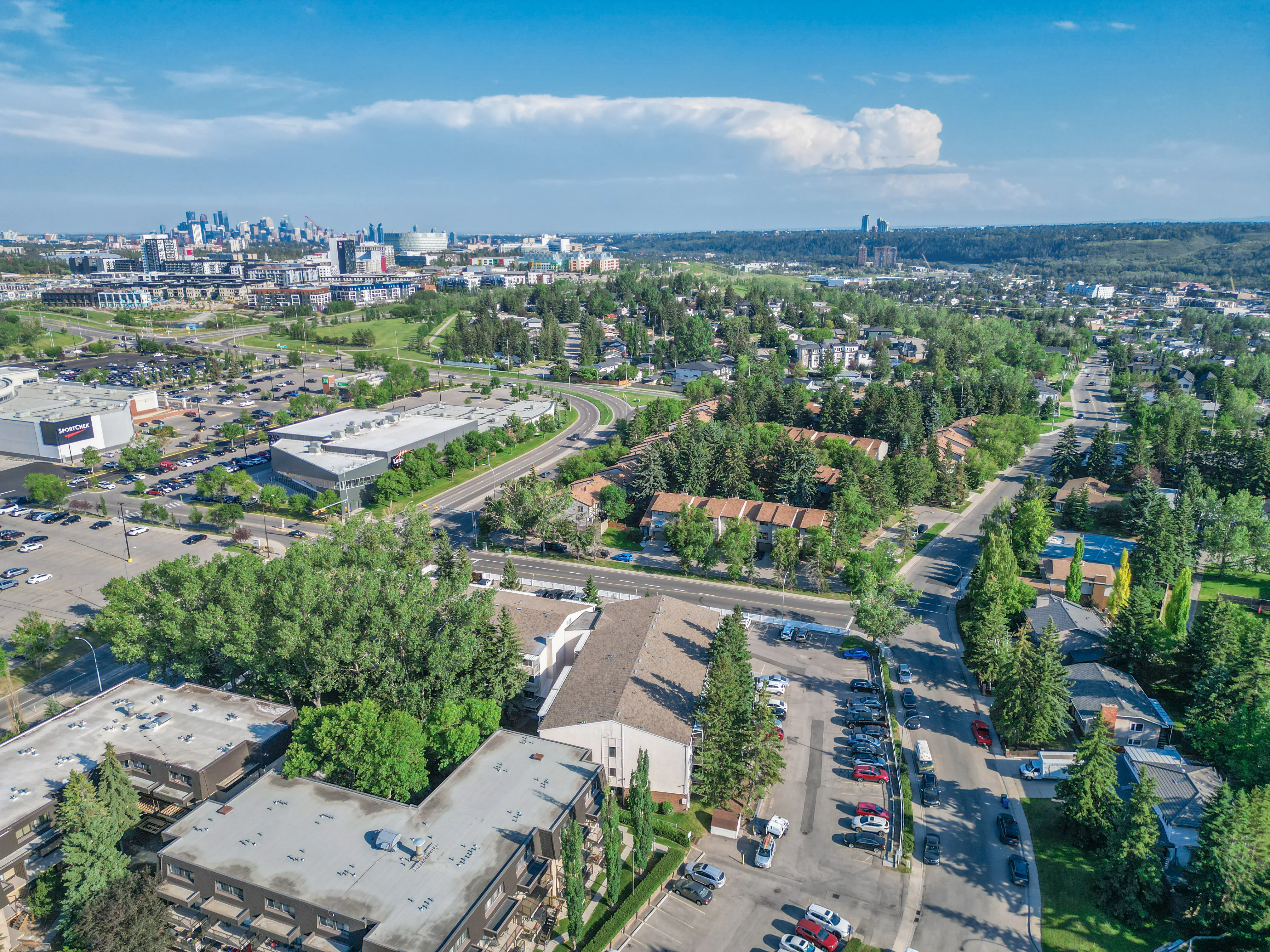 Aerial view of an older Calgary neighbourhood with mature trees and the downtown skyline in the distance