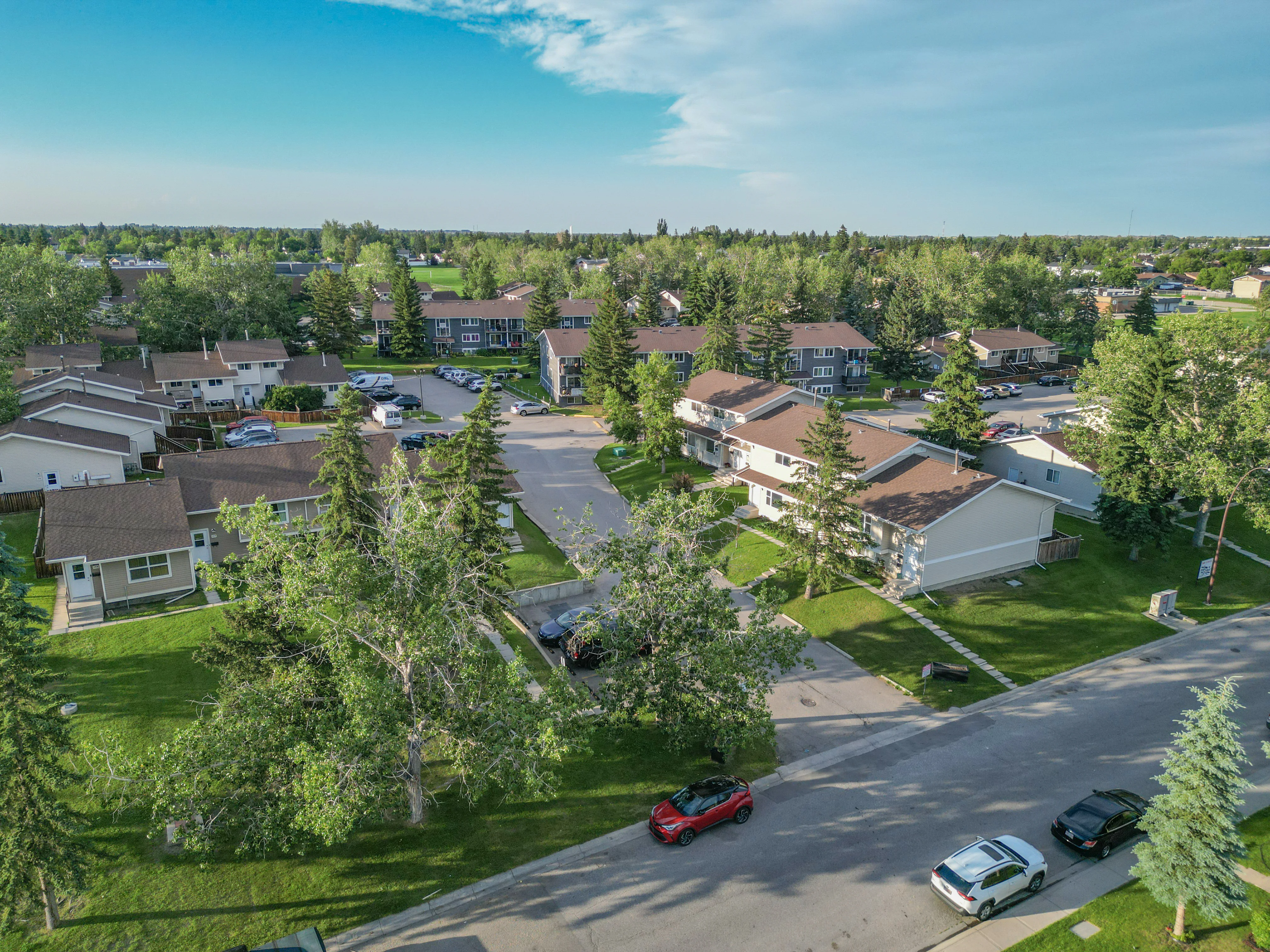 Aerial of homes and townhouses among tall trees