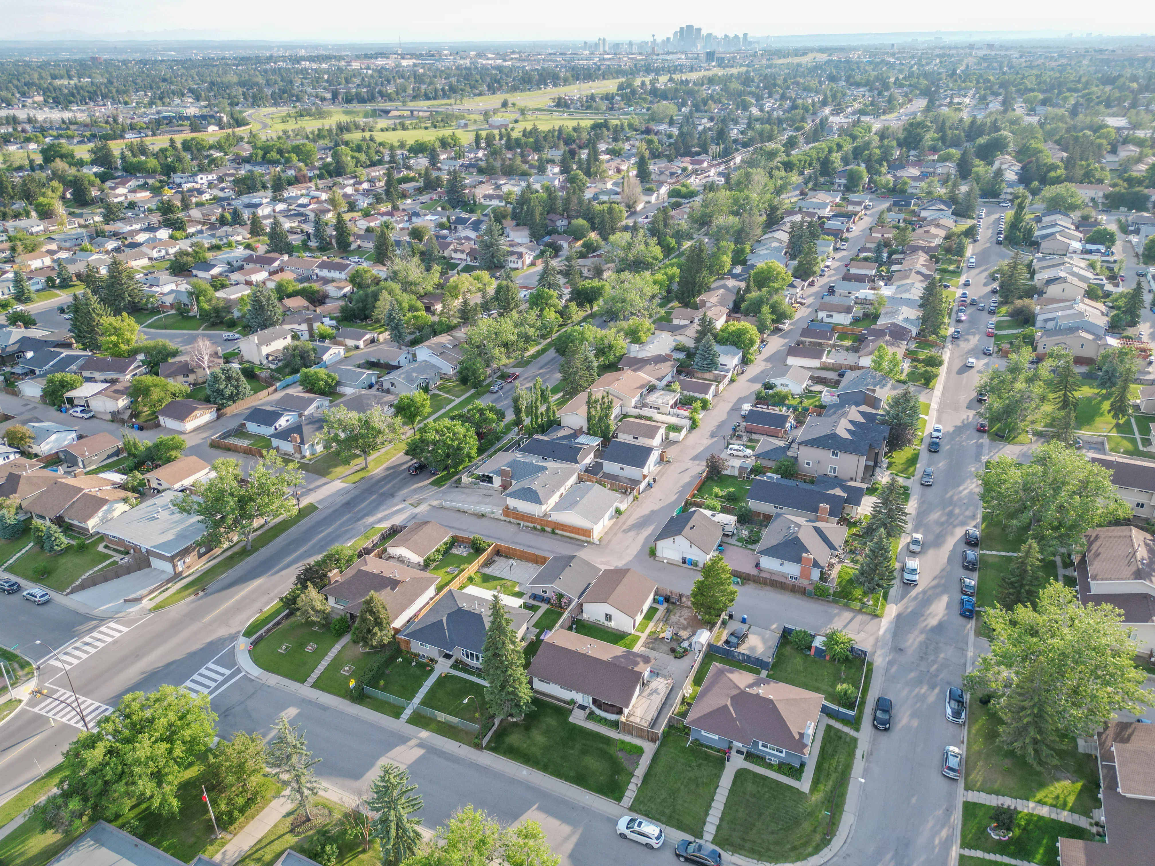 Aerial of a residential neighbourhood with tree-lined streets