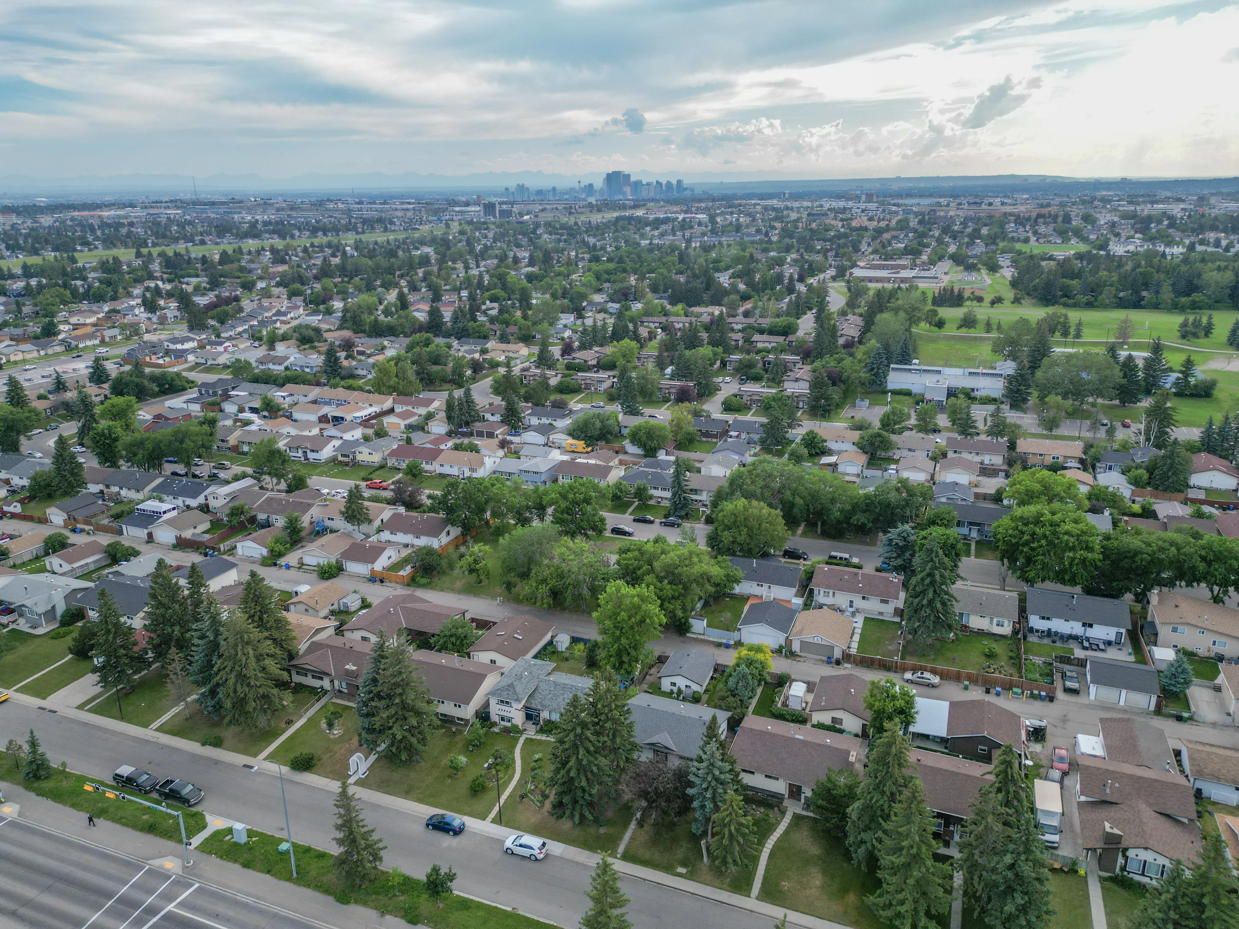 Aerial of a neighbourhood of homes and mature trees