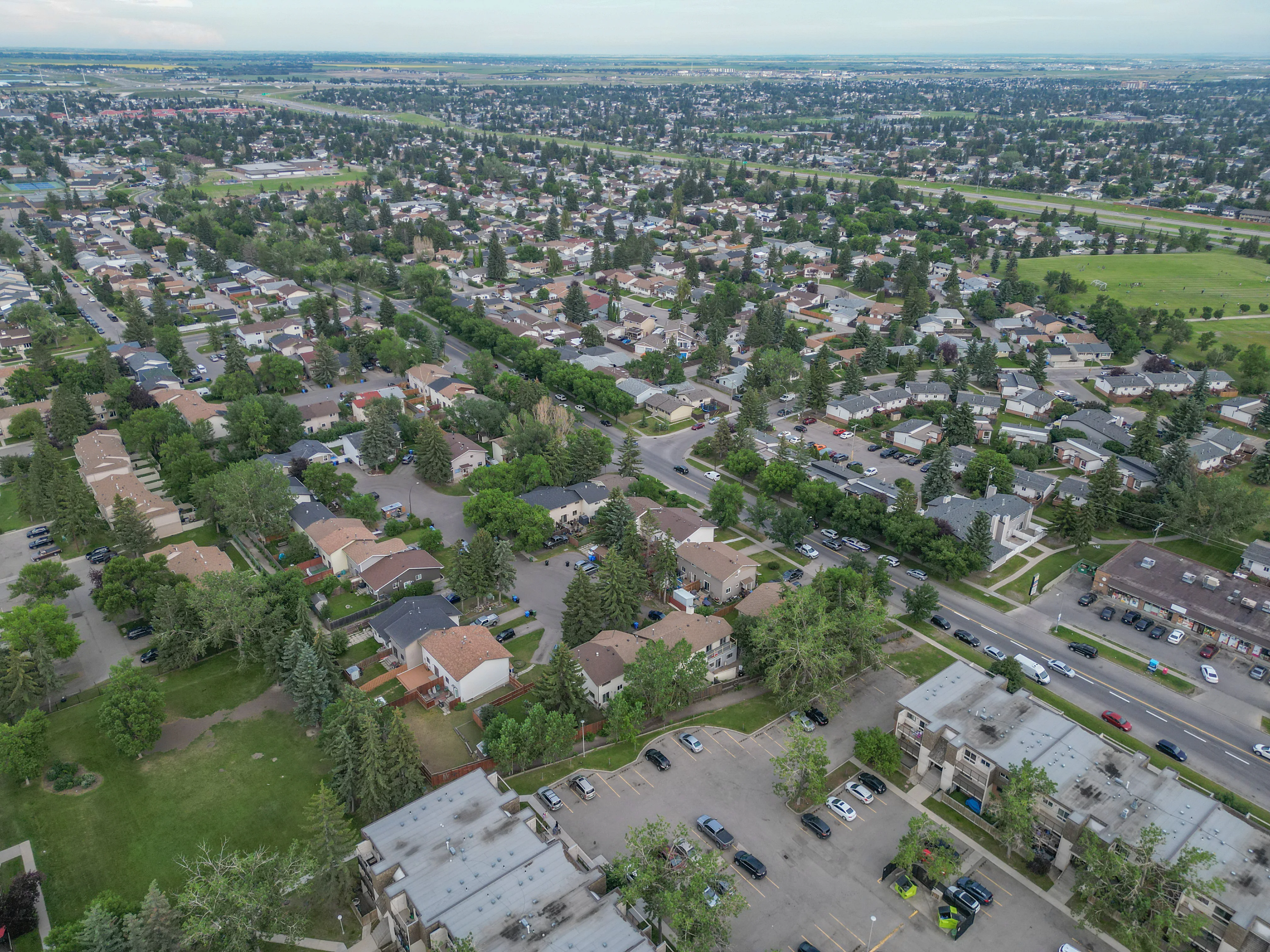 Aerial of tree-lined streets of detached homes