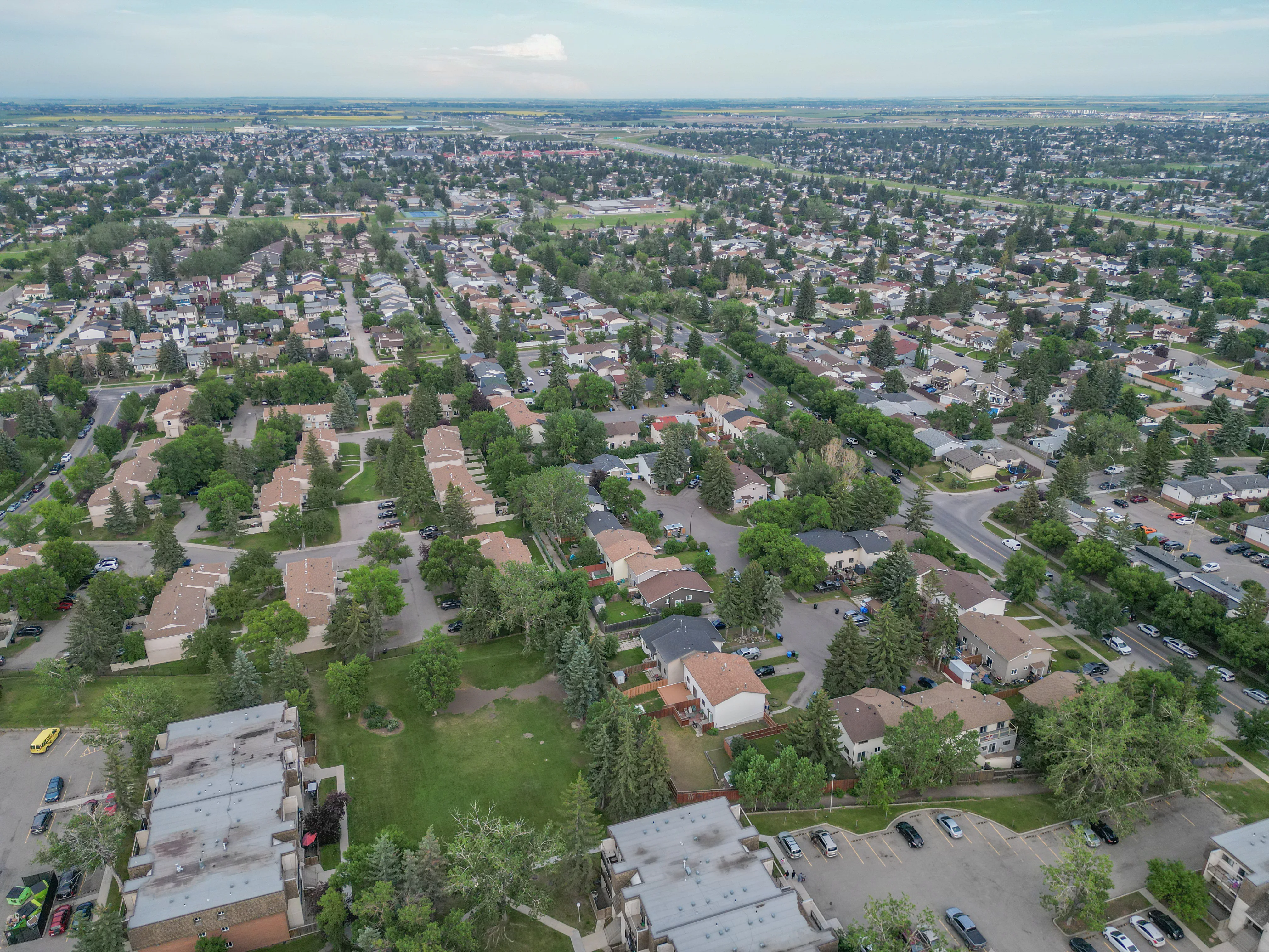 Aerial of detached homes among mature trees