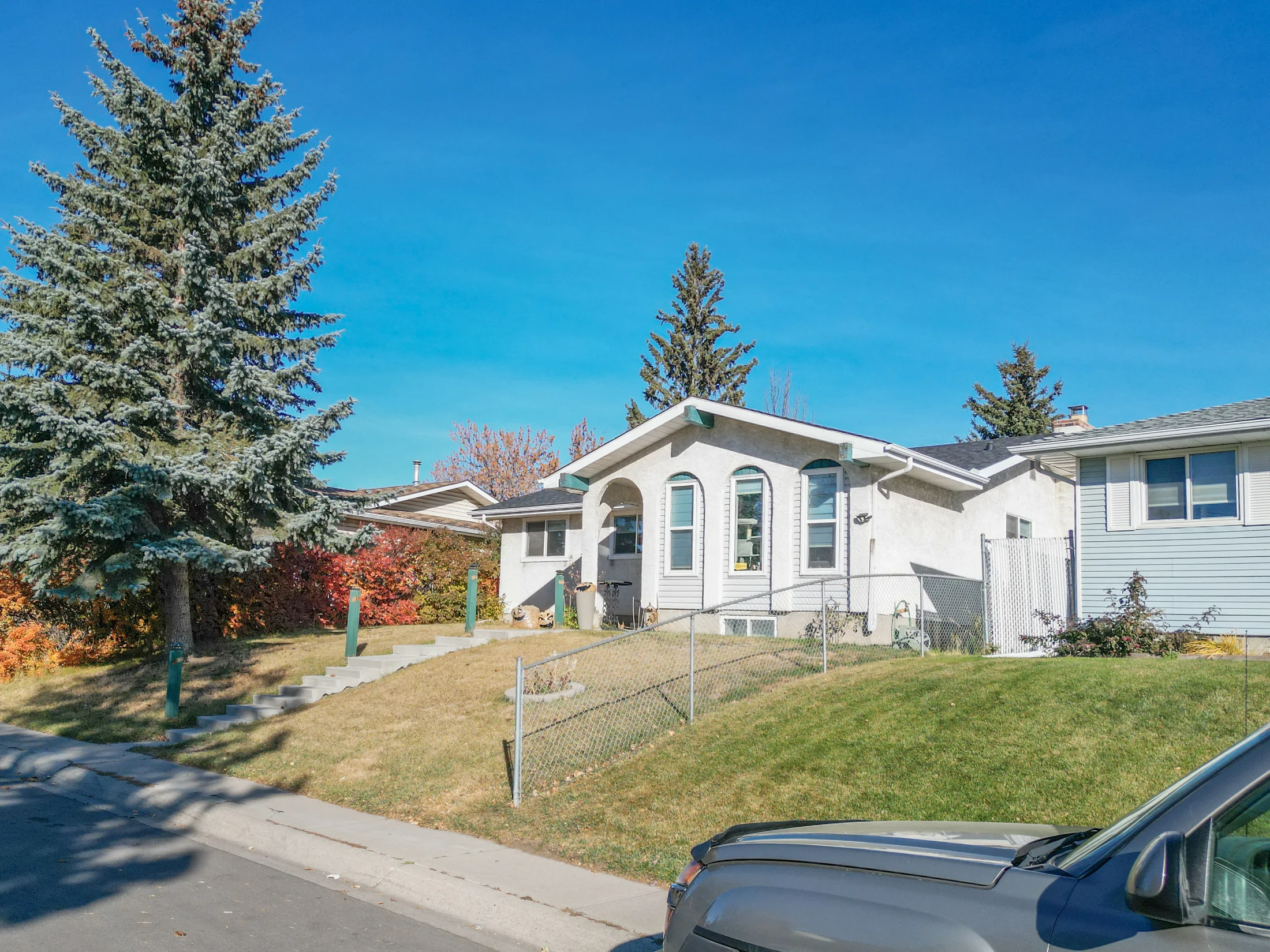Bungalow with a large spruce tree and a sloped front yard