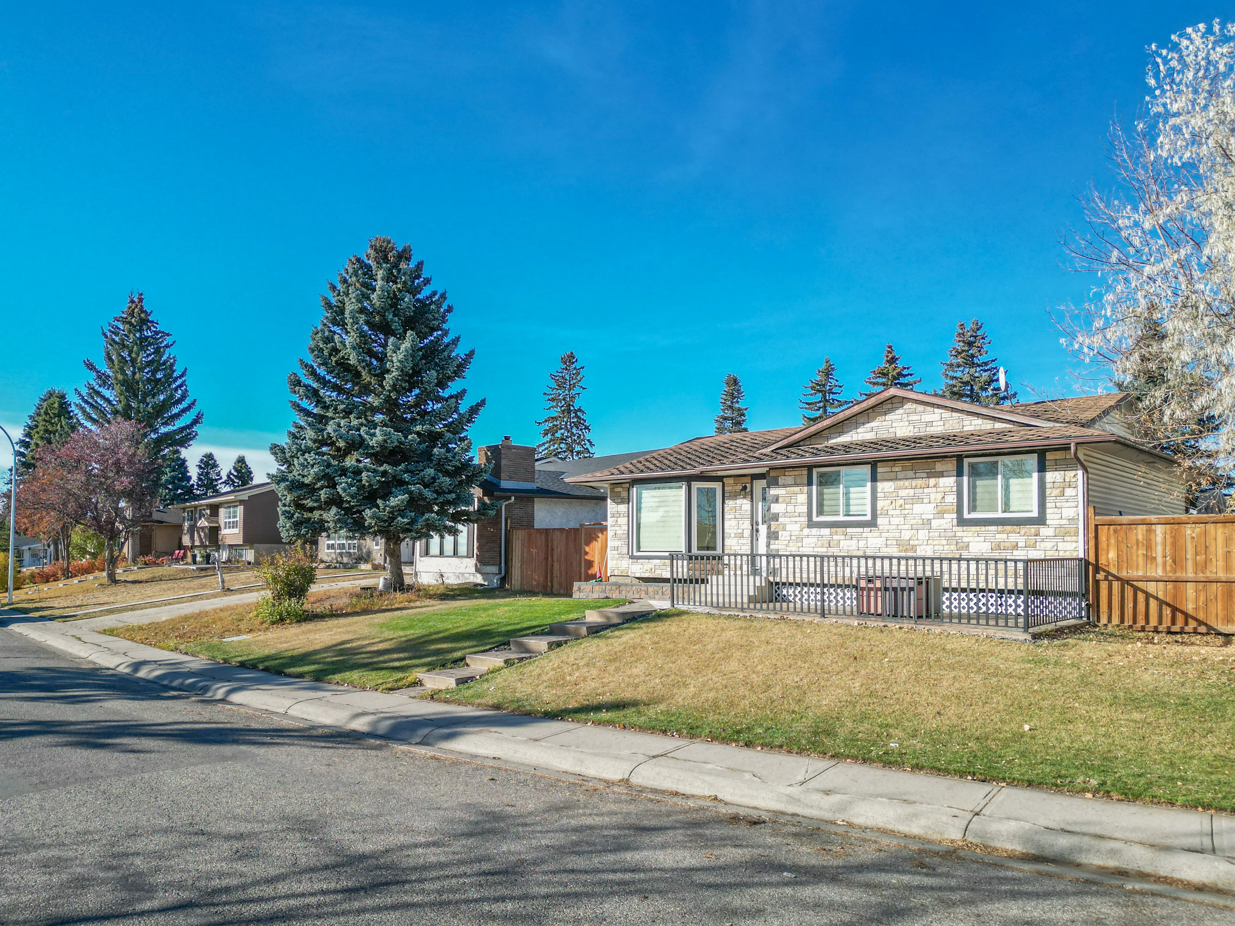 Bungalow with tall spruce trees in the front yard
