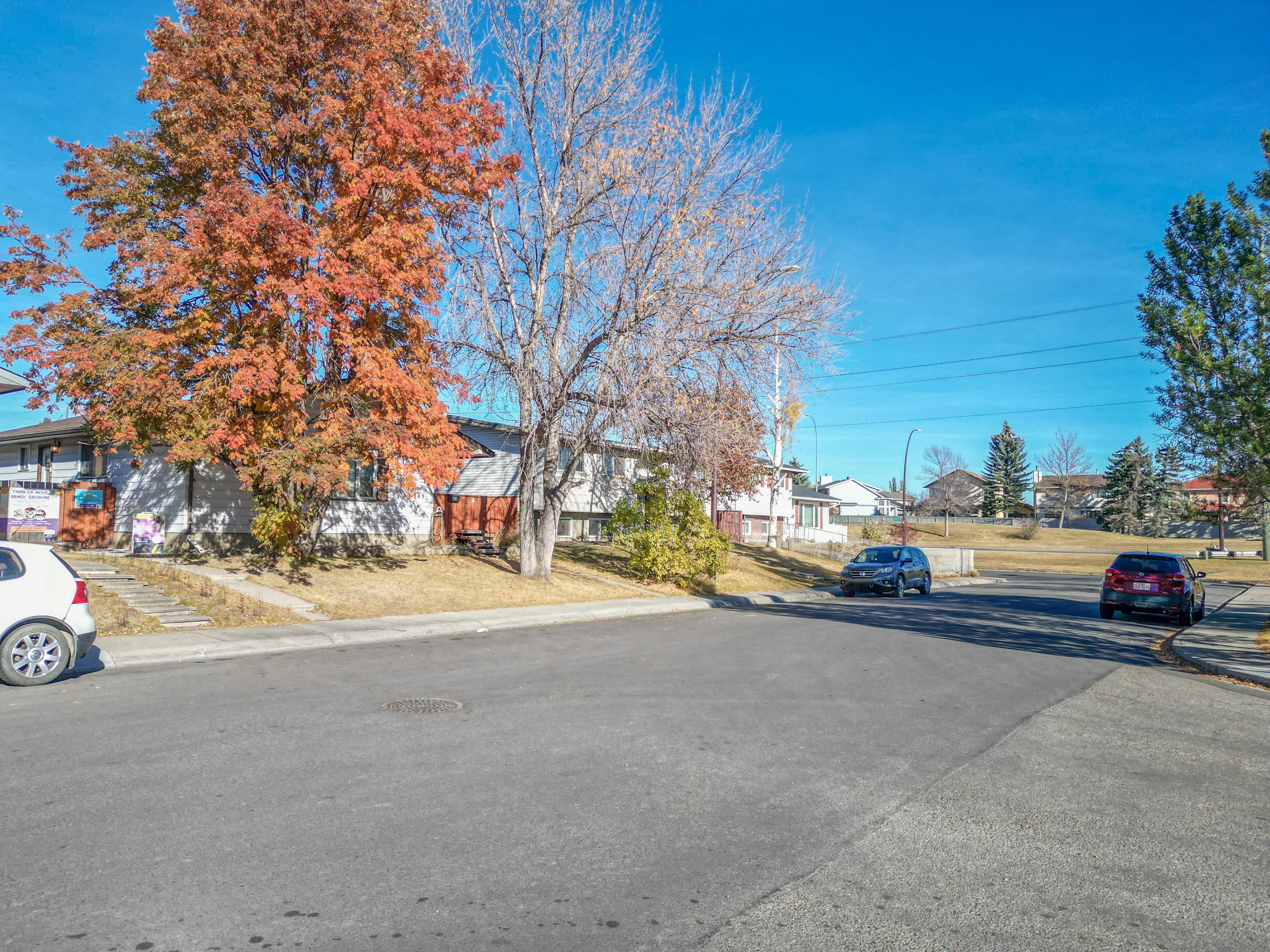 Bi-level home with a tall tree in autumn colours