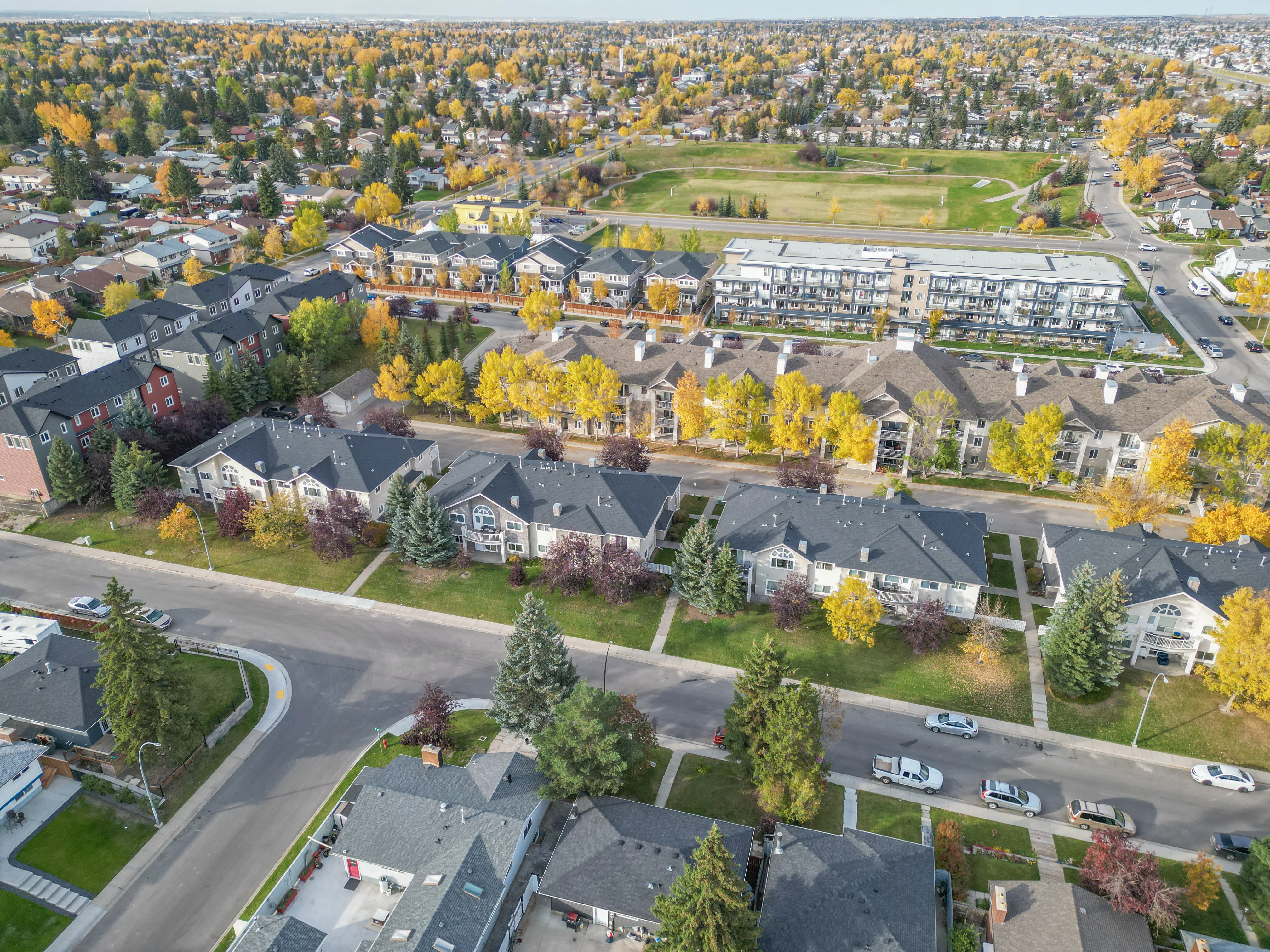 Aerial of homes on a curving street with trees in fall colours