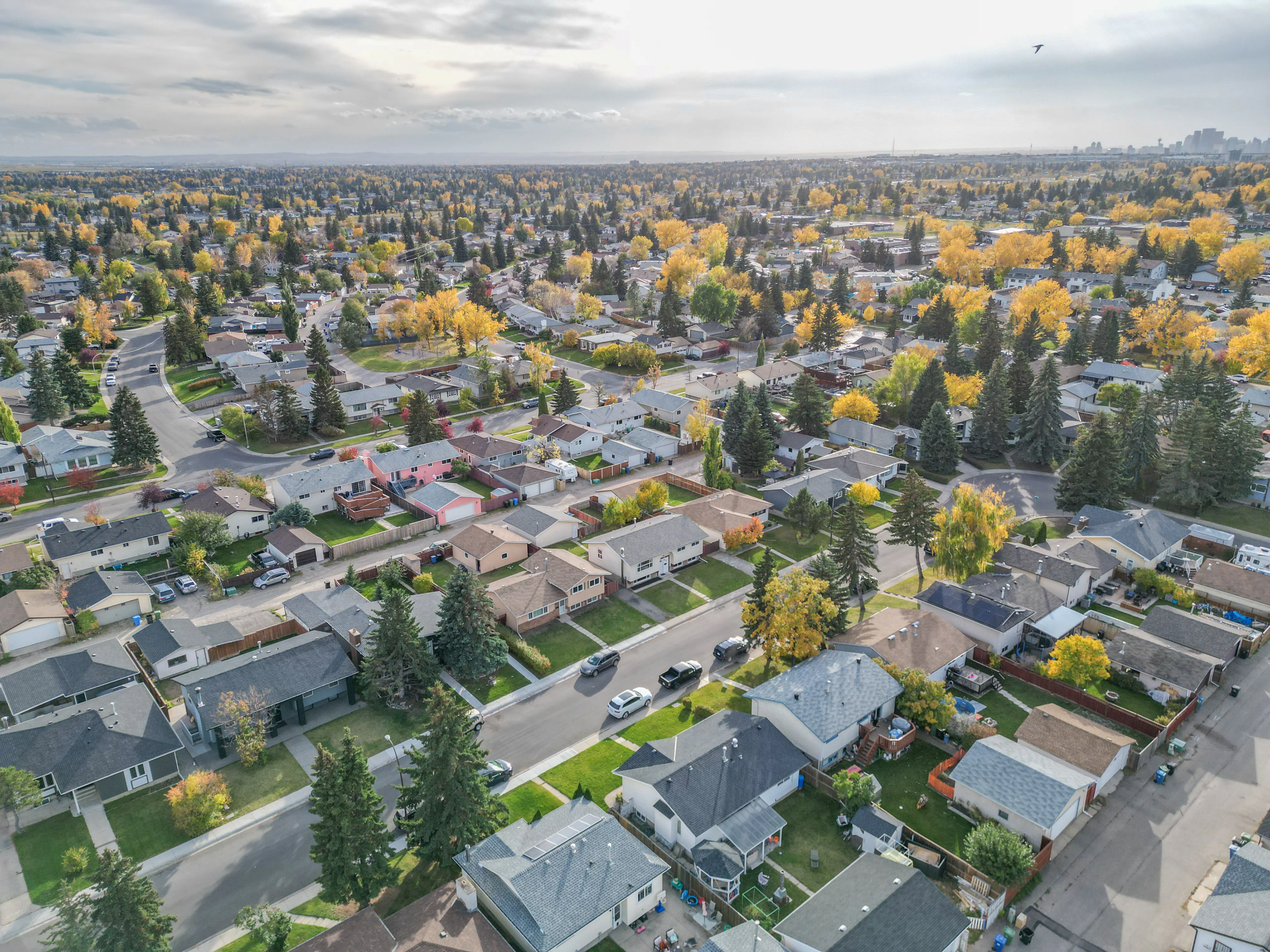 Aerial of a 1960s-era neighbourhood with bungalows and mature trees
