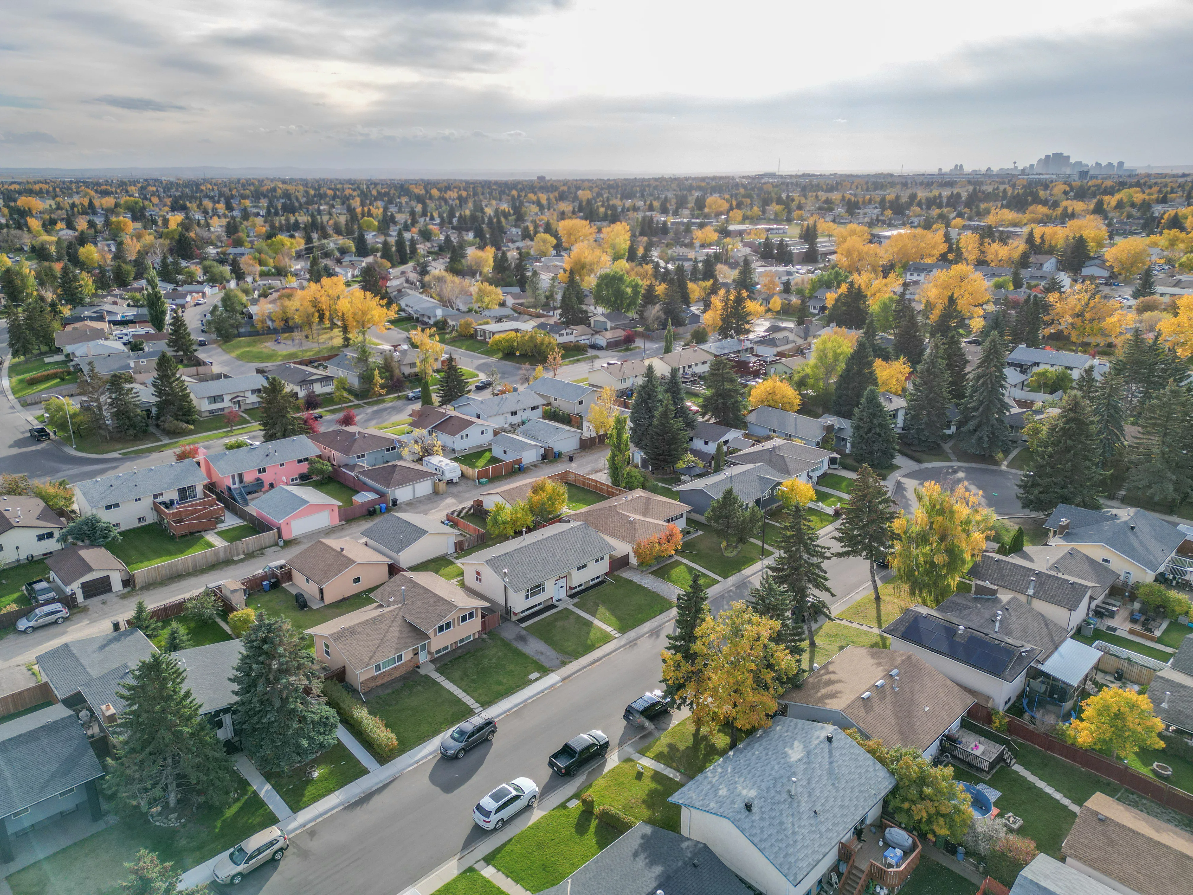 Aerial of a residential street of older homes and tall trees