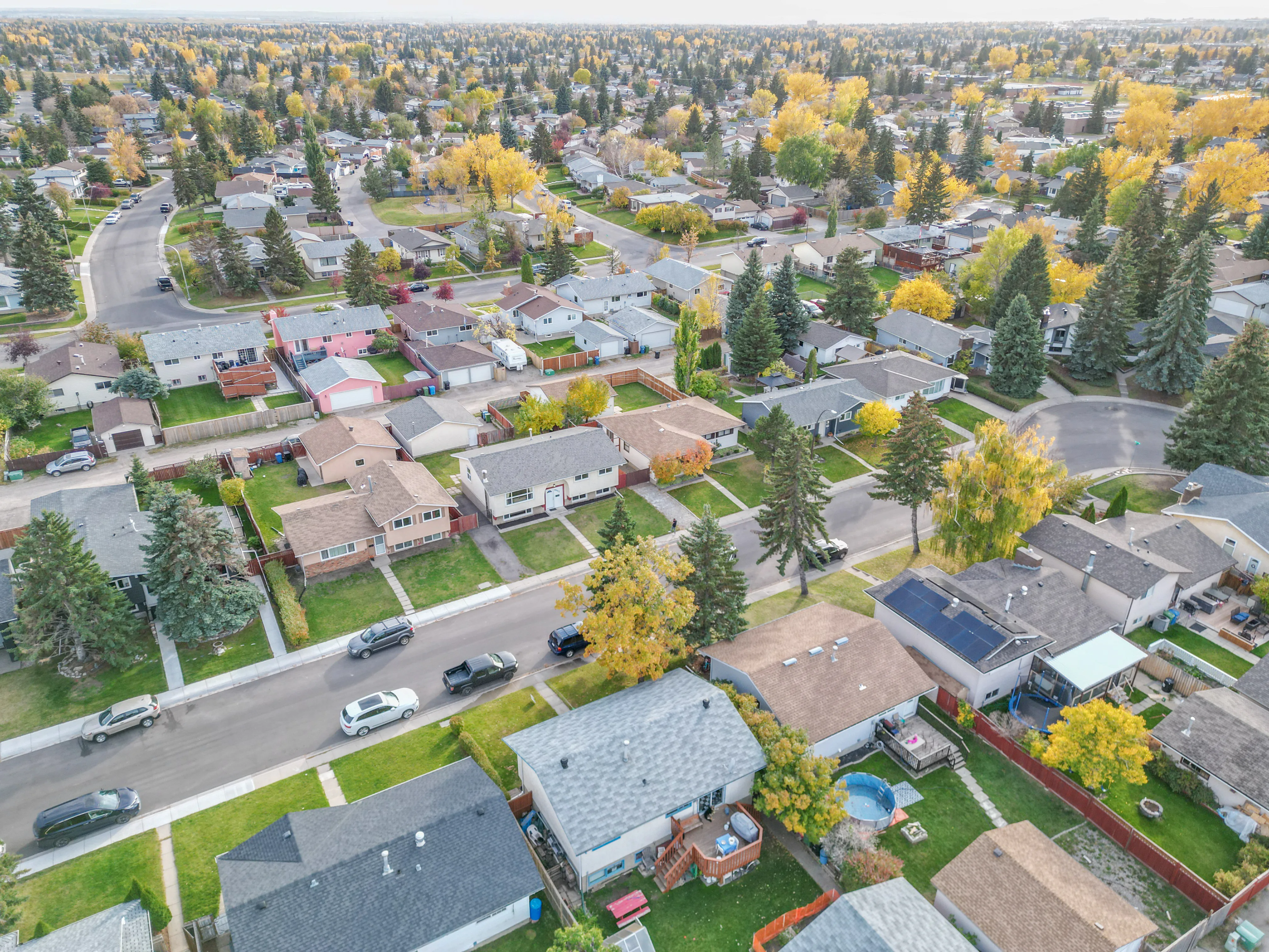 Aerial of bungalows with backyards and mature trees