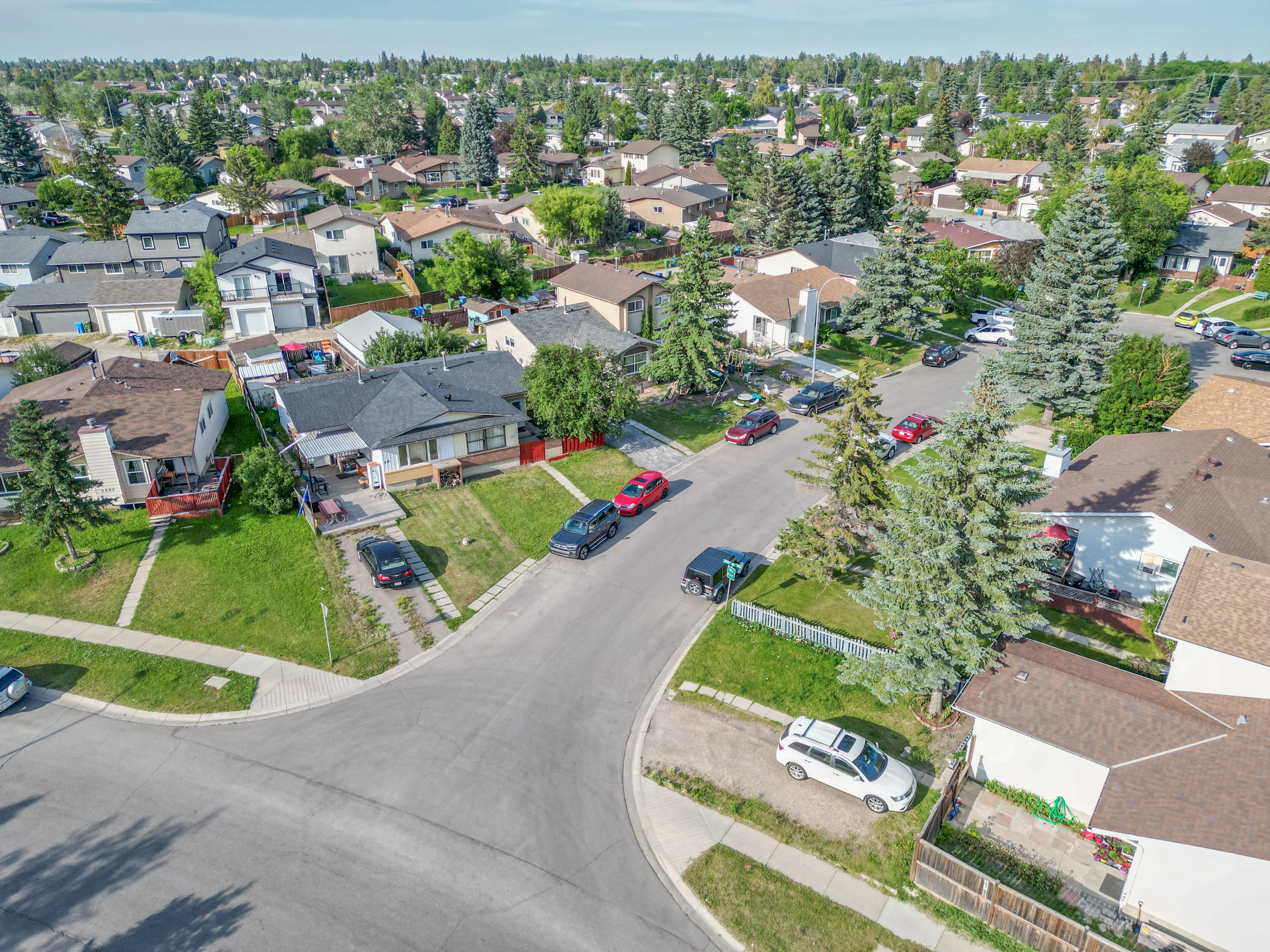 Aerial of homes on a curving street with spruce trees