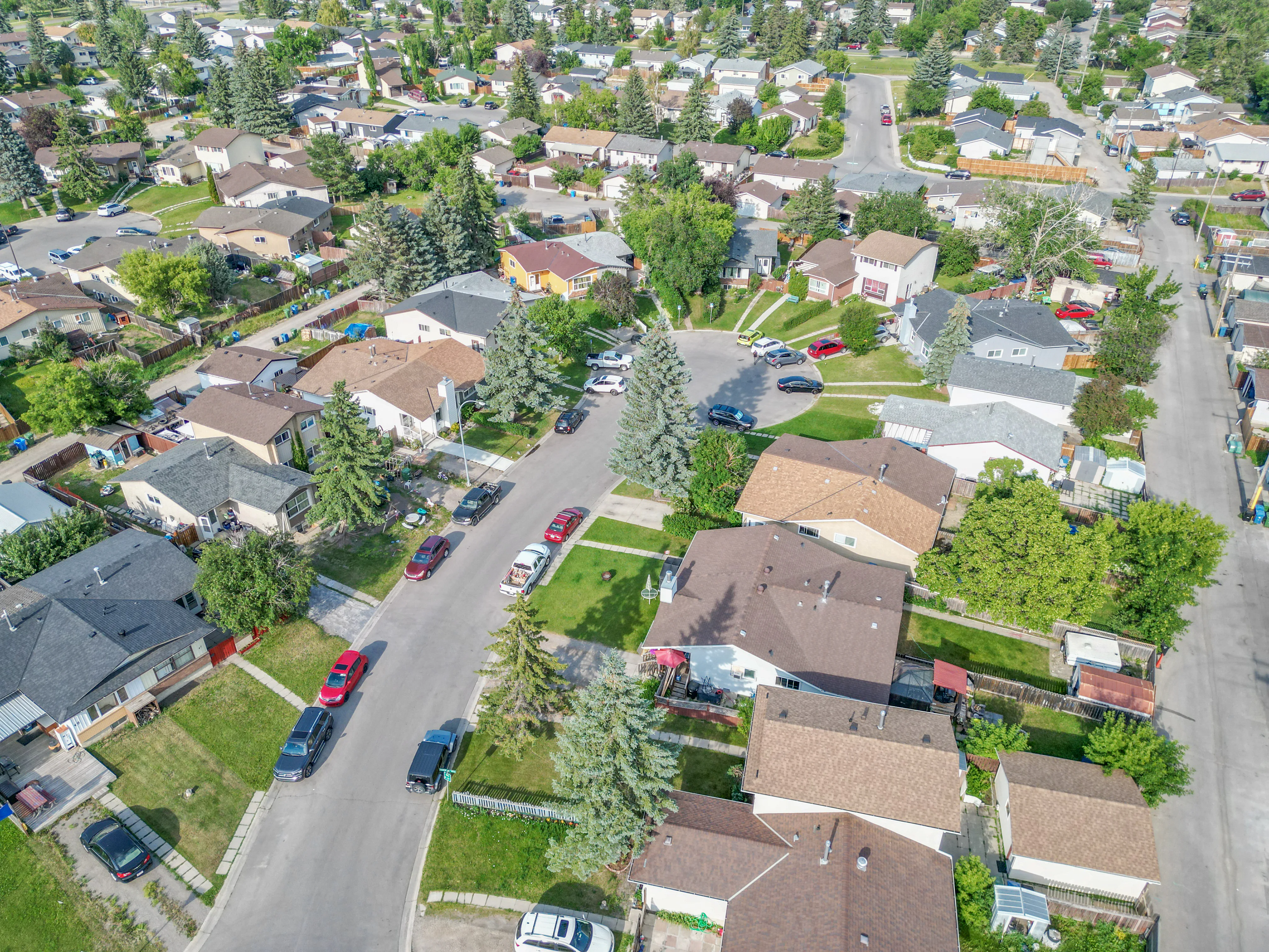 Aerial of older homes and mature trees on a residential street