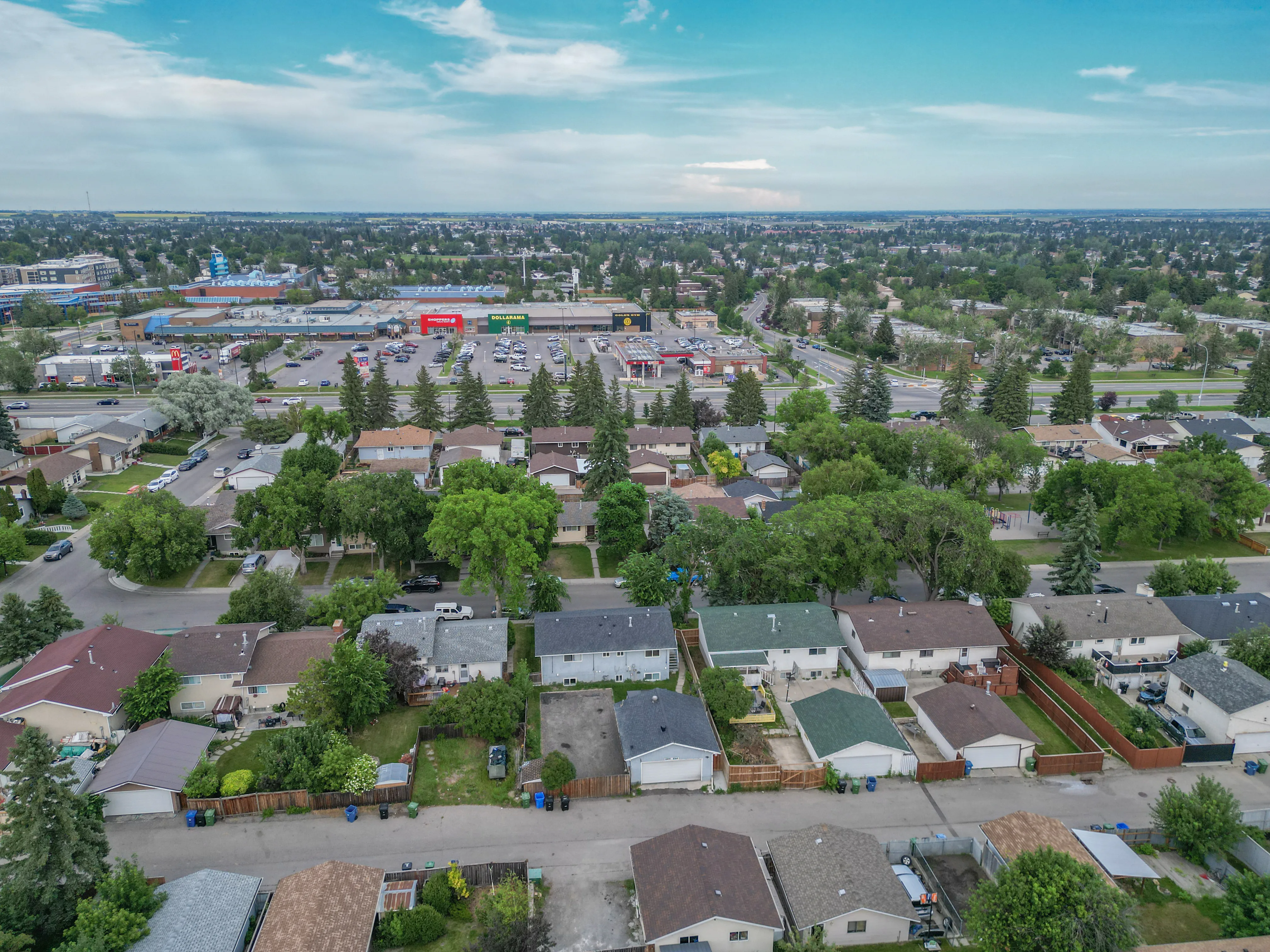 Aerial of a residential neighbourhood with mature trees