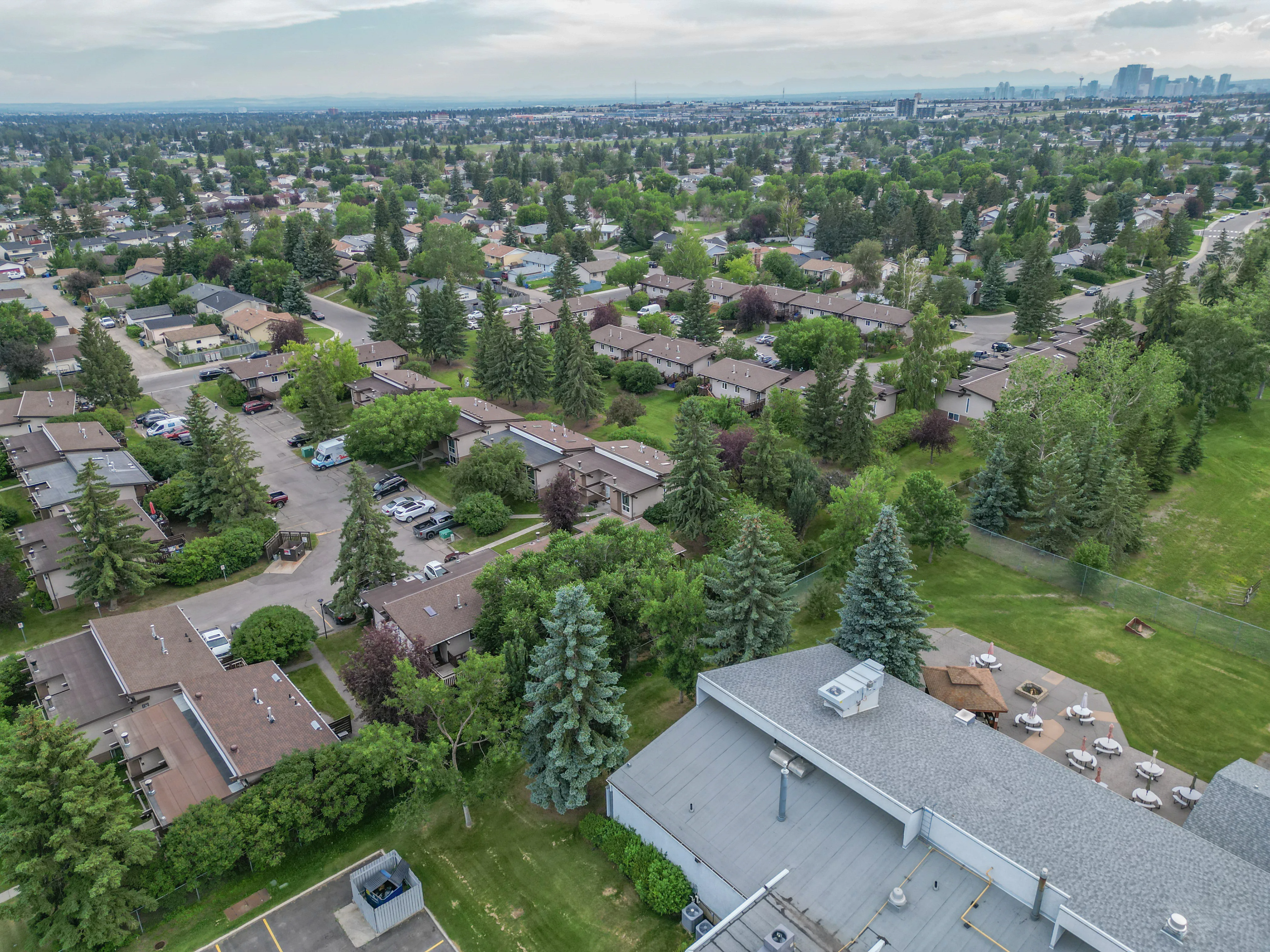 Aerial of homes, trees and a green space