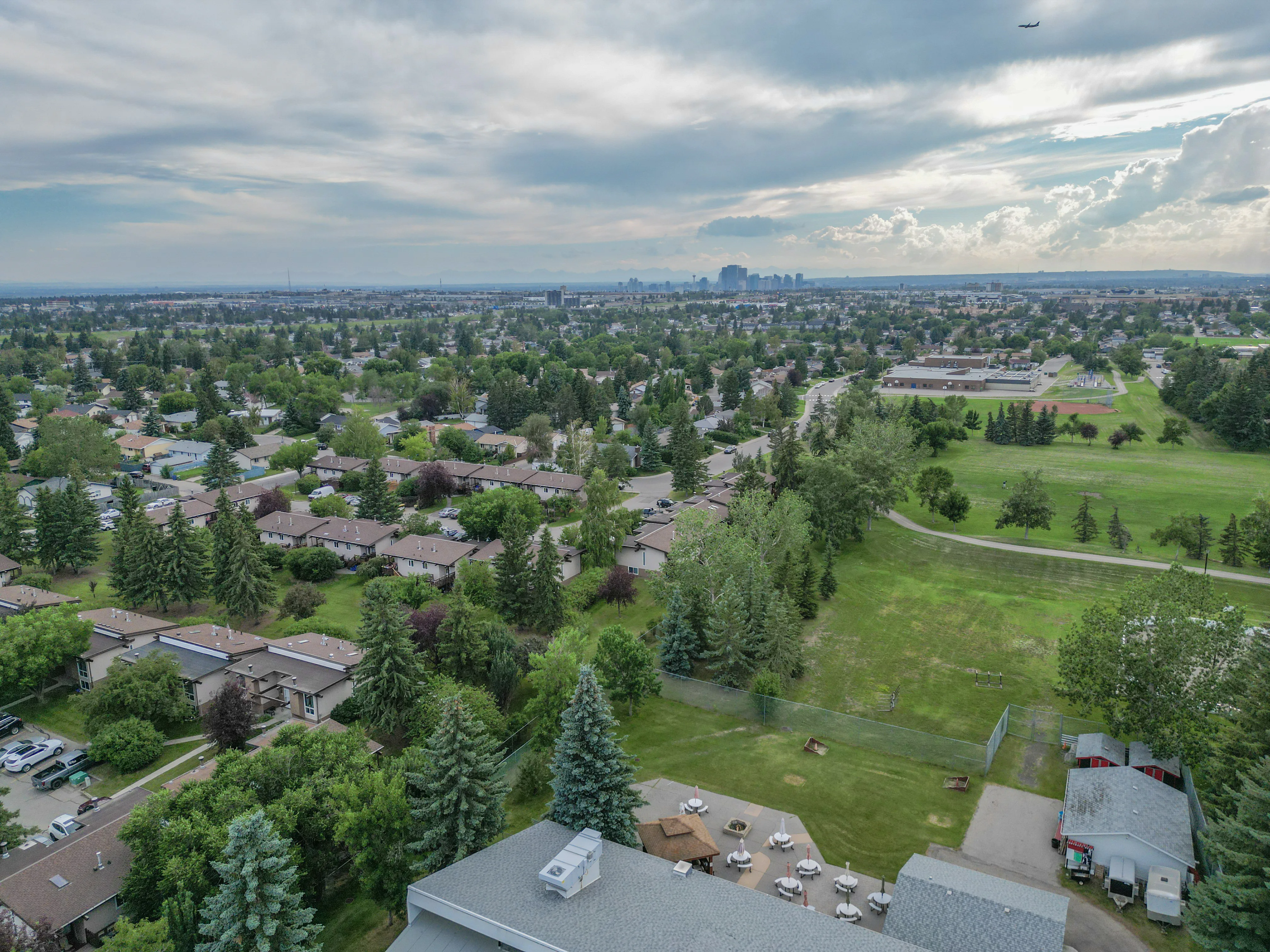 Aerial of green space and trees with the city in the distance