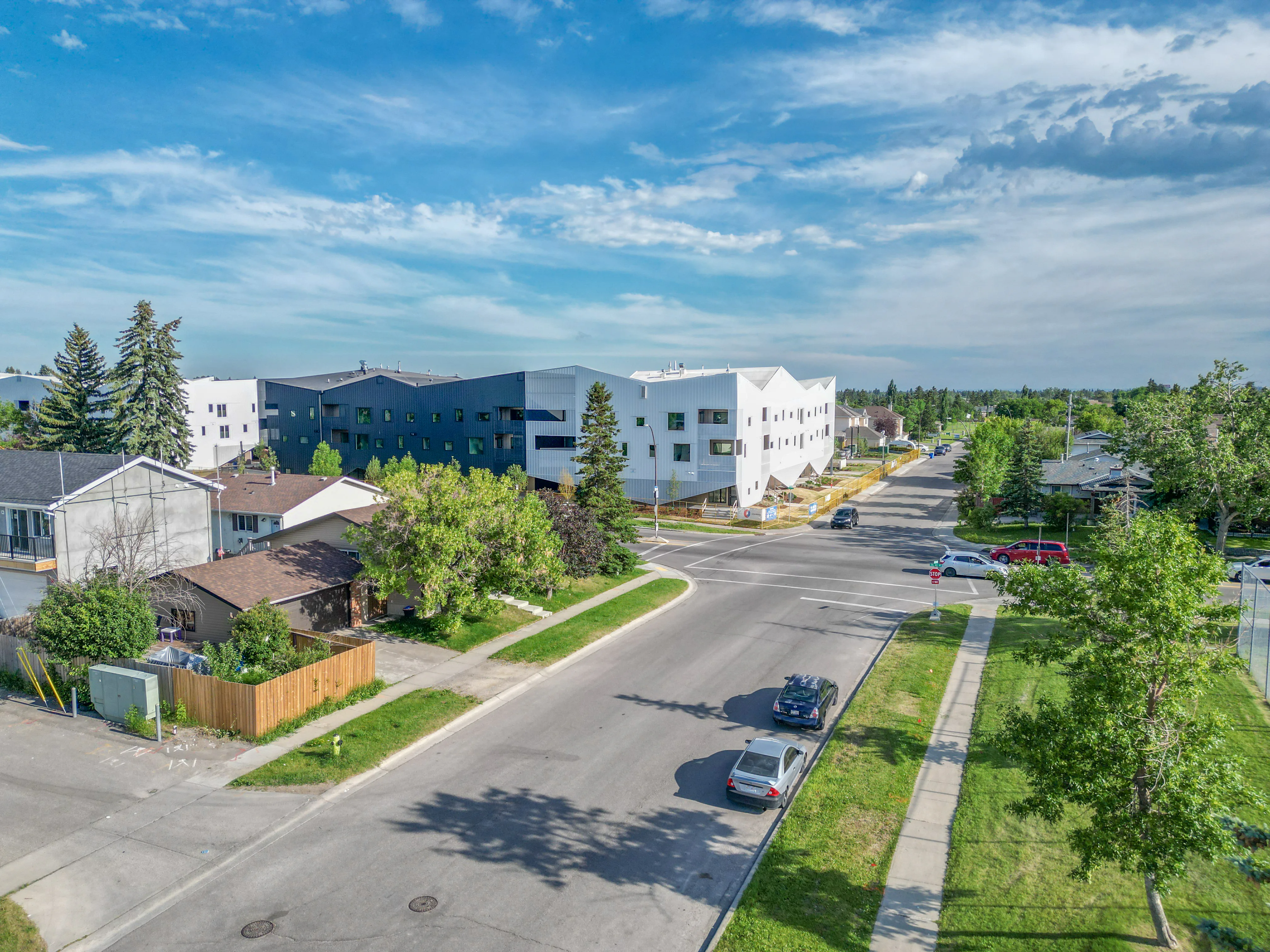 Residential street corner with homes and tall trees