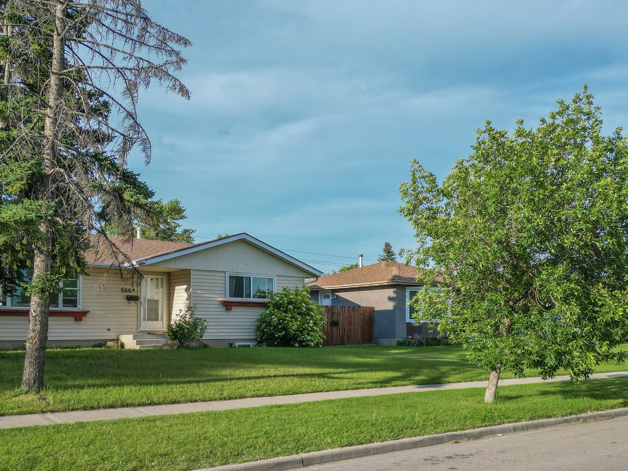 Bungalows and mature trees along a quiet residential street