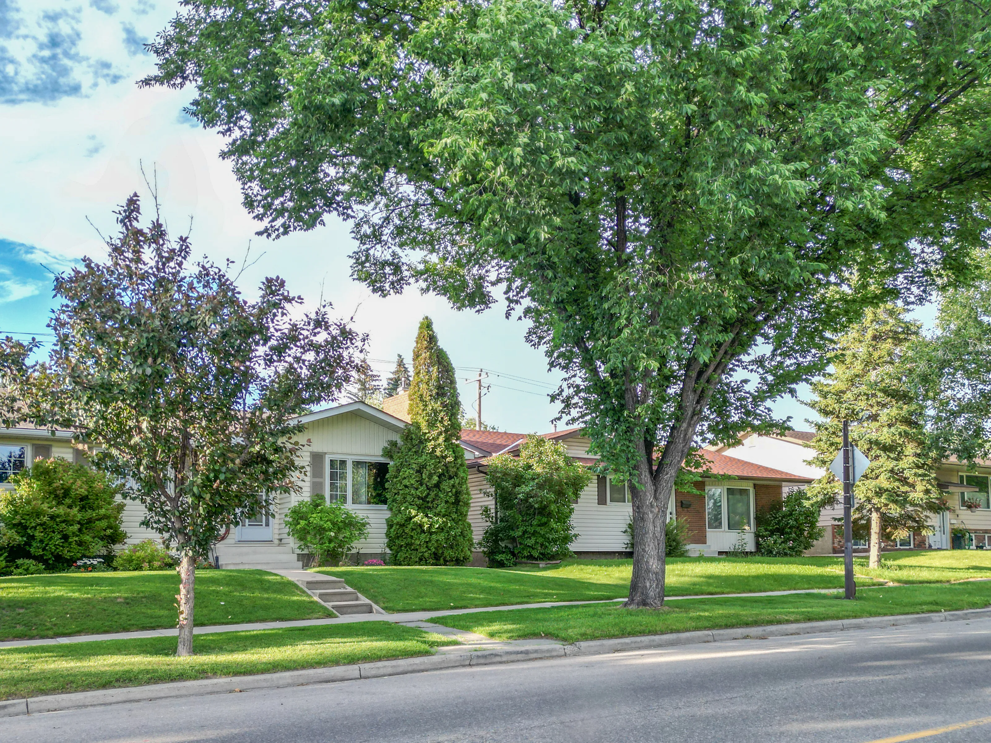 Bungalow framed by mature trees on a sunny street