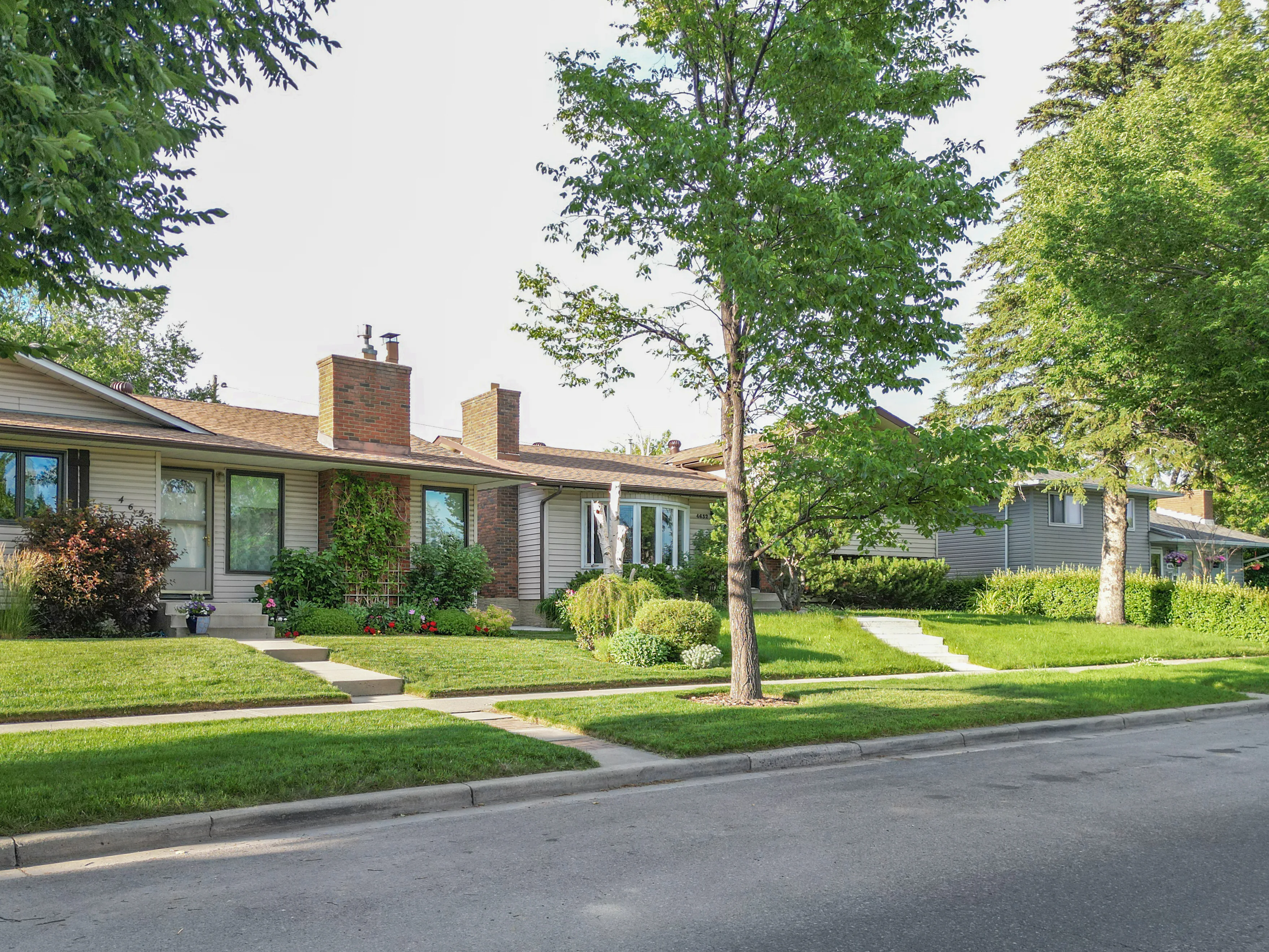 Brick bungalow behind large mature trees on a residential street
