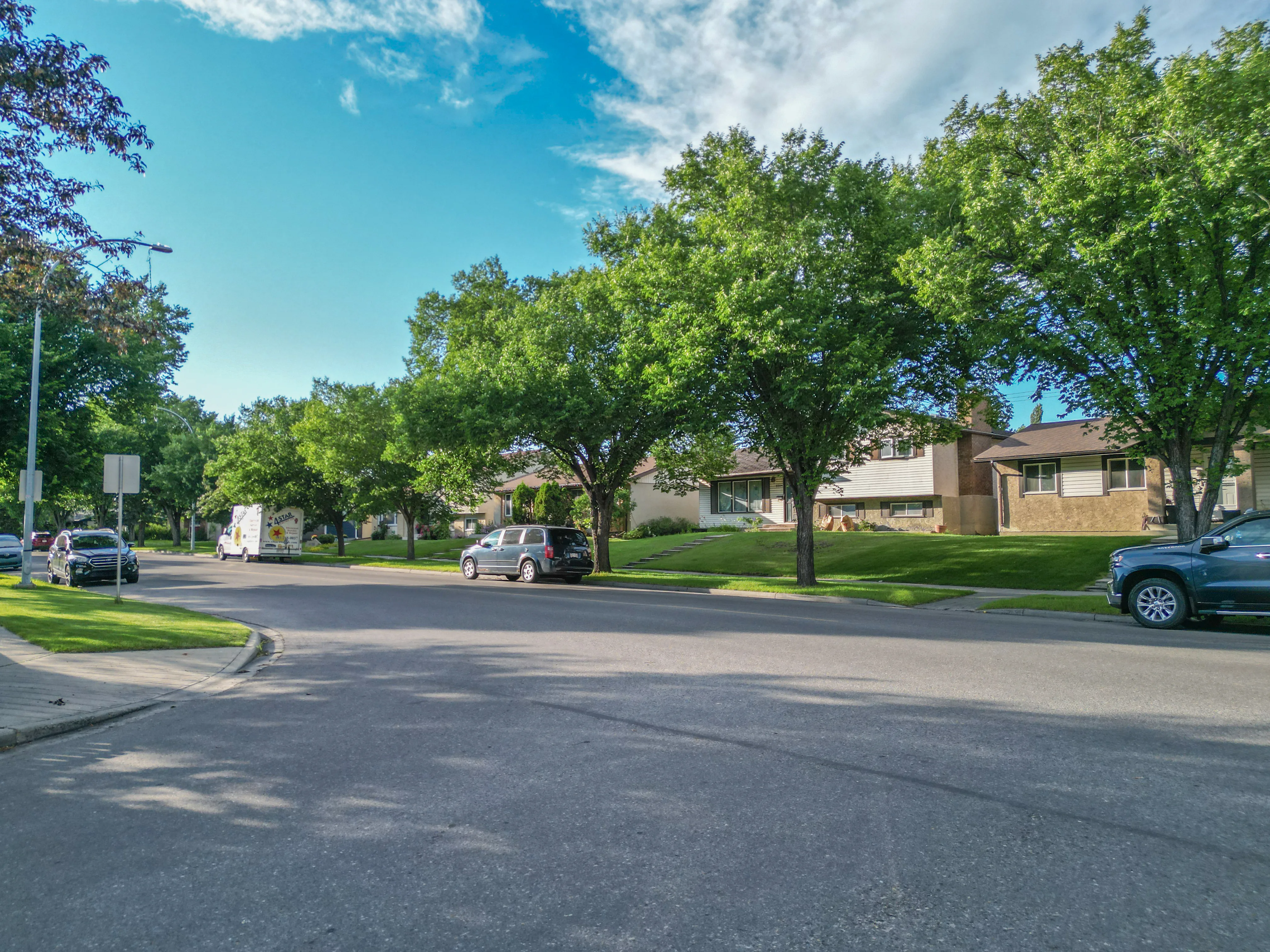 Residential street with bungalows and large mature trees