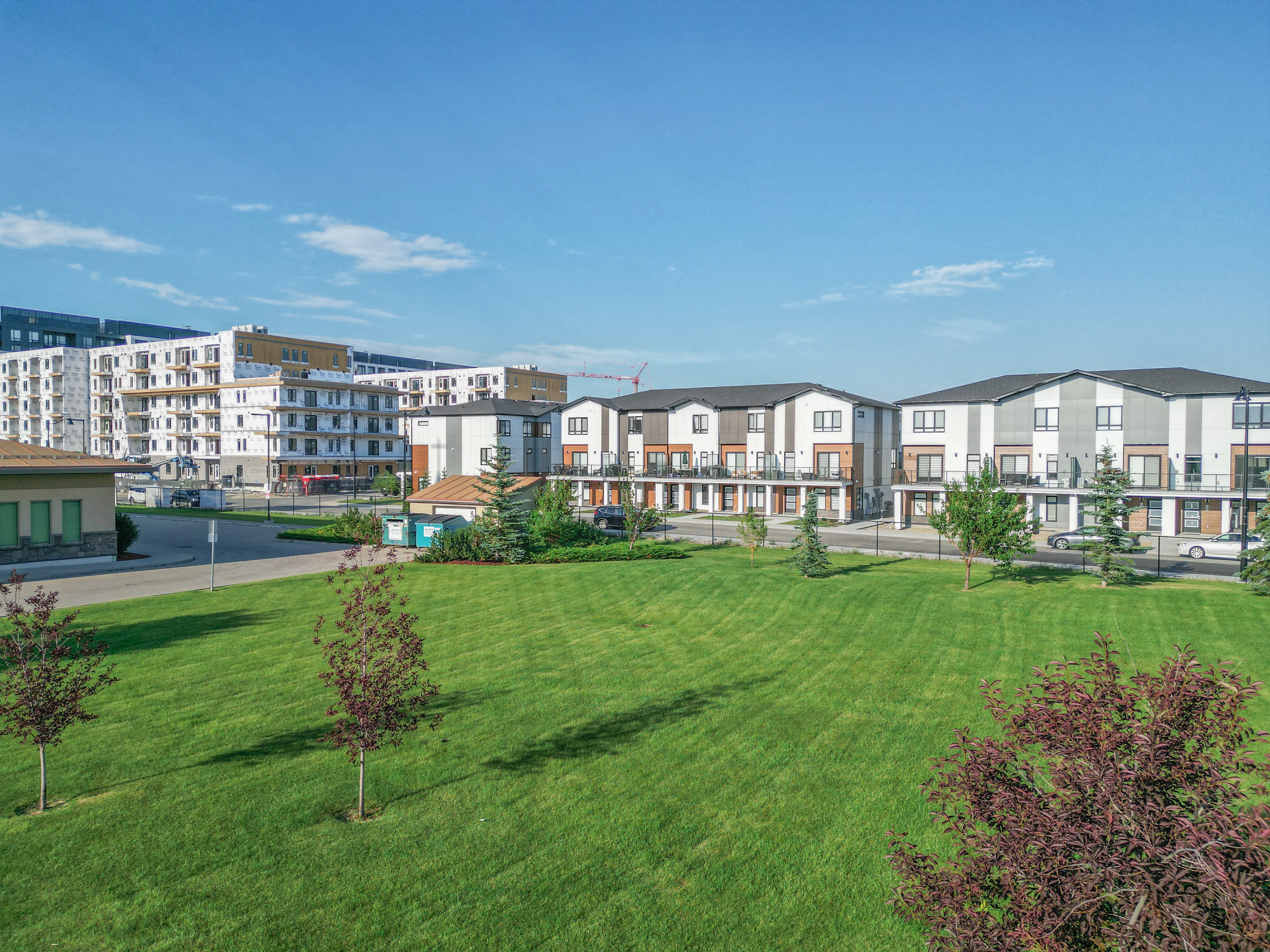 Green lawn with young trees in front of new townhomes