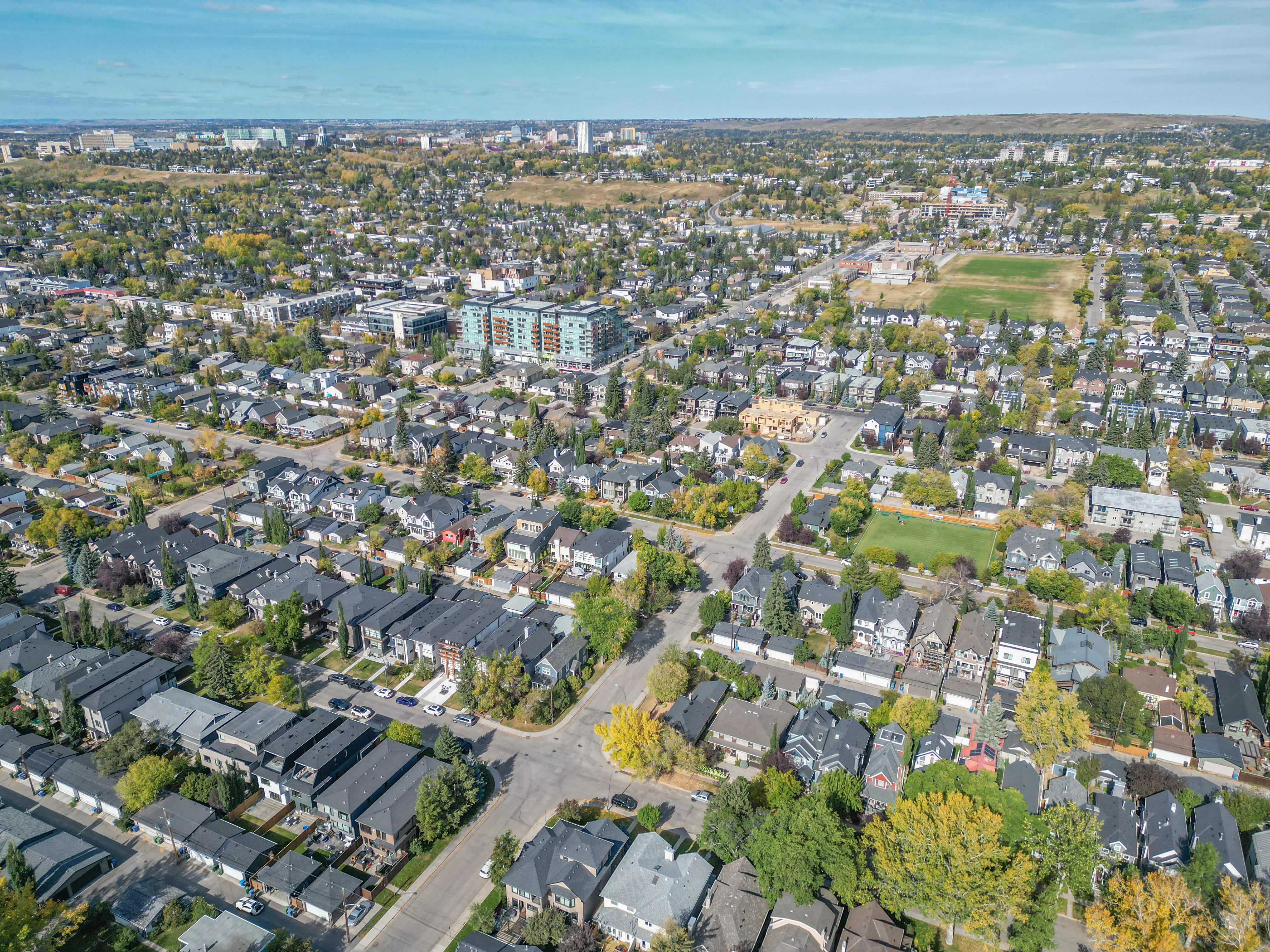 Aerial of an inner-city neighbourhood of homes under mature trees
